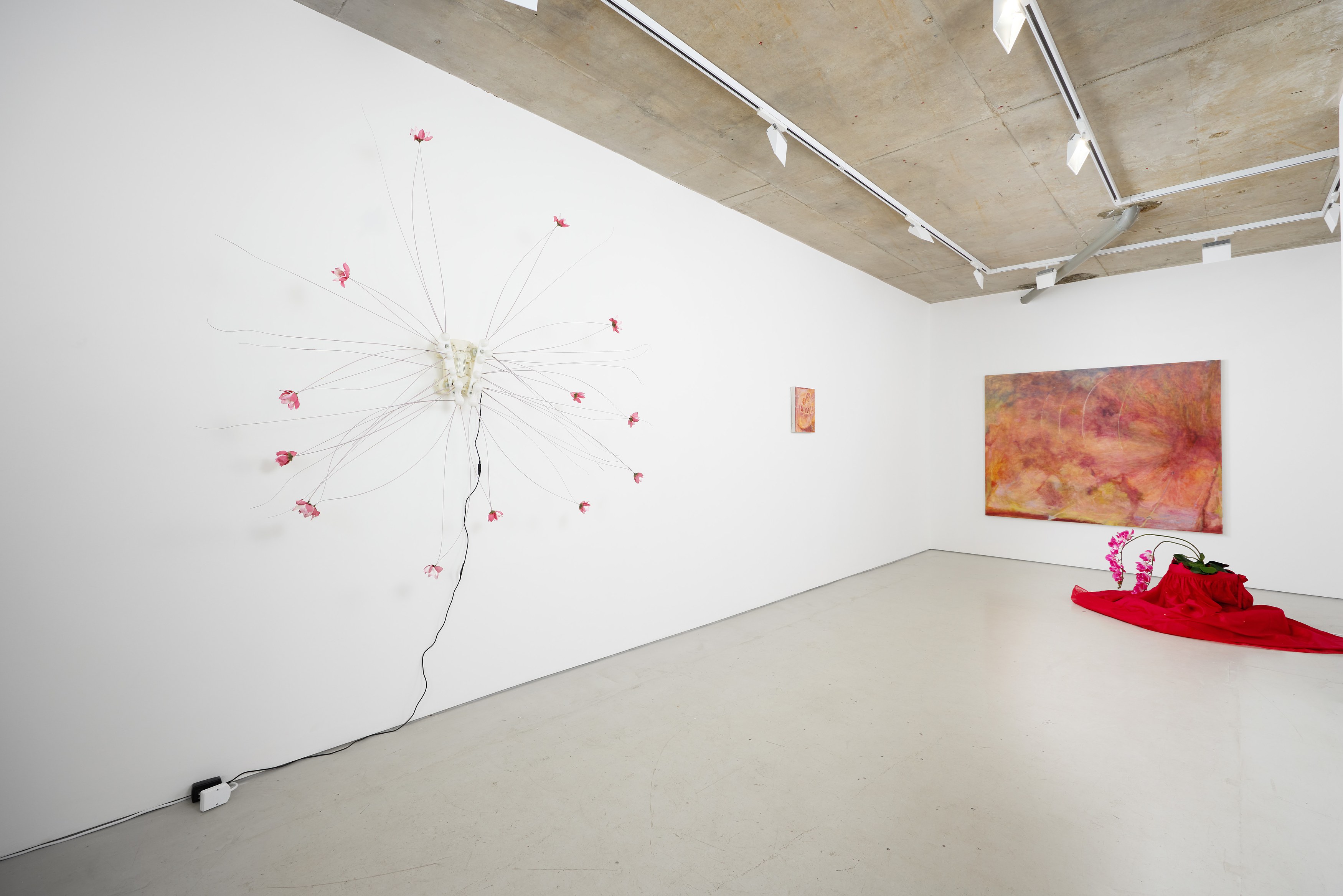 Sophie Birch, Rachel Youn, Figures of Speech at Alice Amati, photo 2