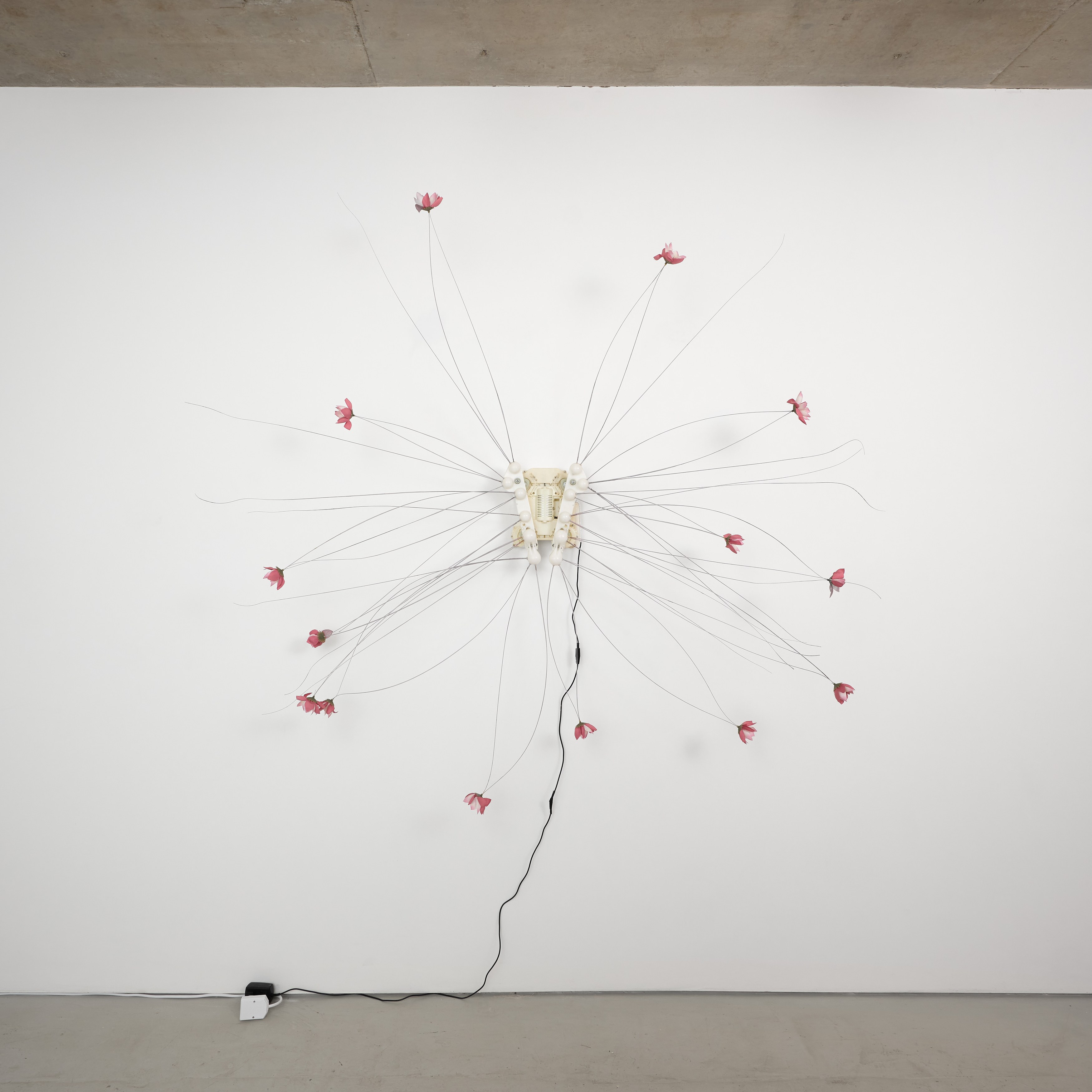 Sophie Birch, Rachel Youn, Figures of Speech at Alice Amati, photo 5