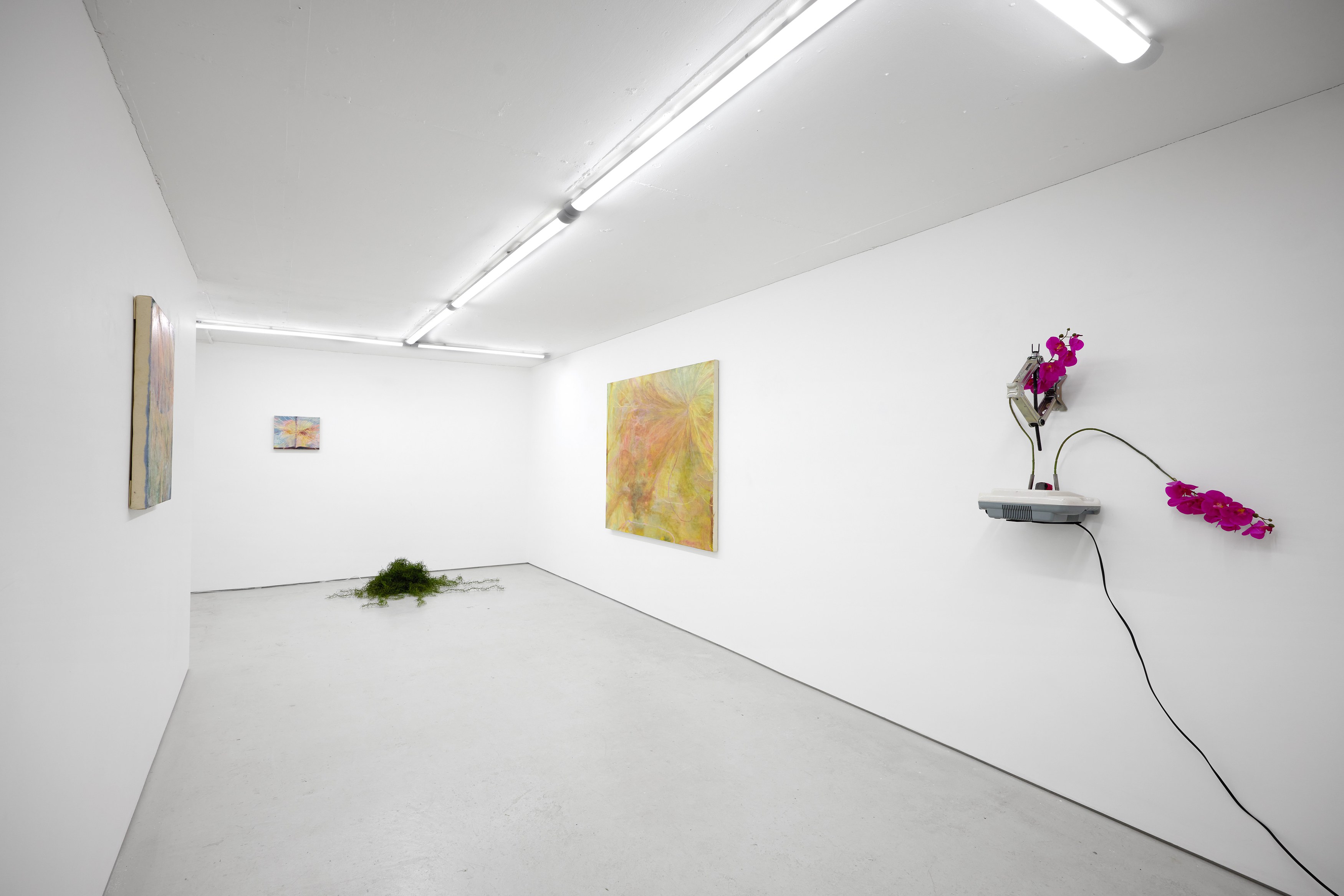 Sophie Birch, Rachel Youn, Figures of Speech at Alice Amati, photo 7