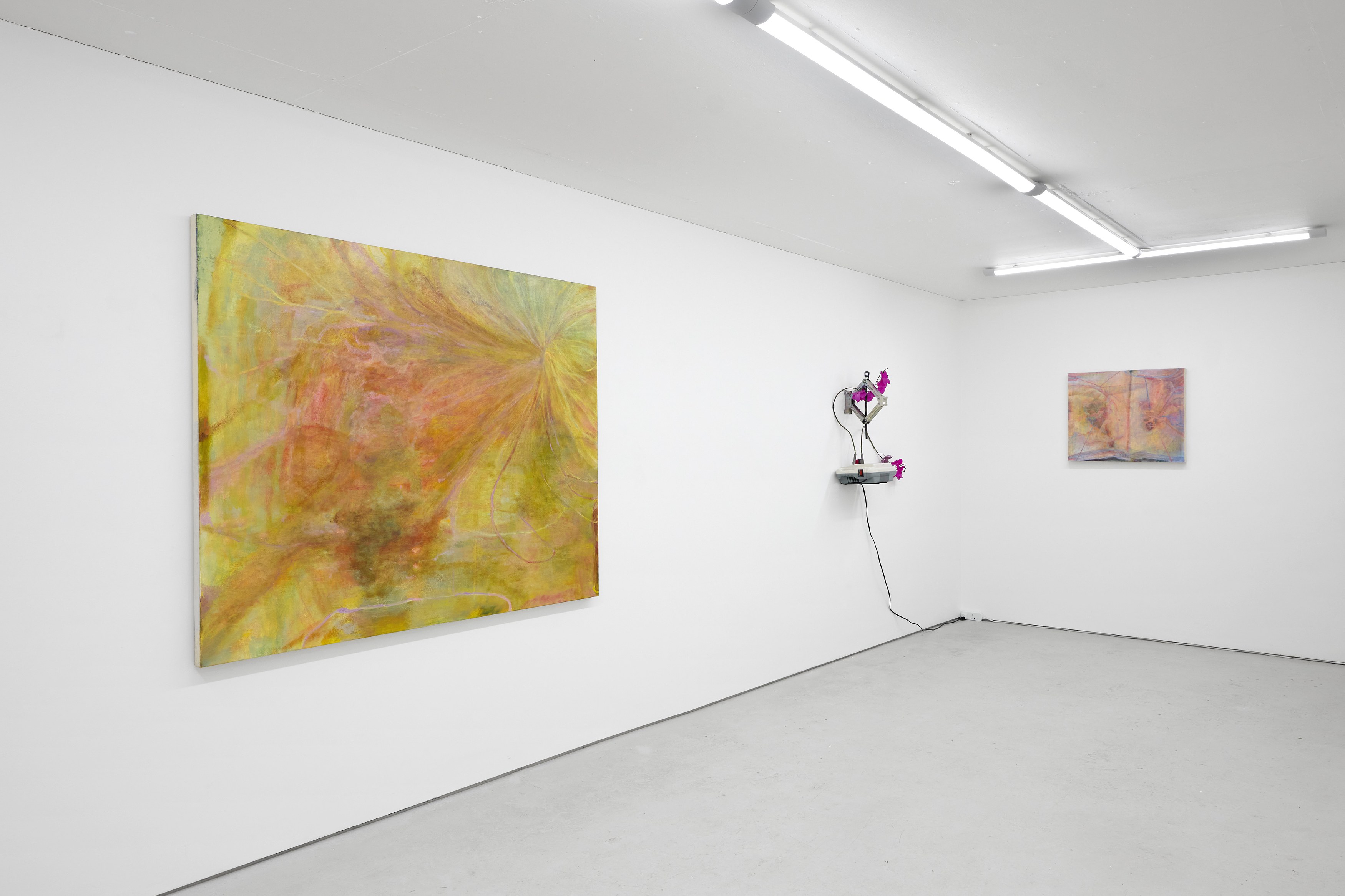 Sophie Birch, Rachel Youn, Figures of Speech at Alice Amati, photo 8