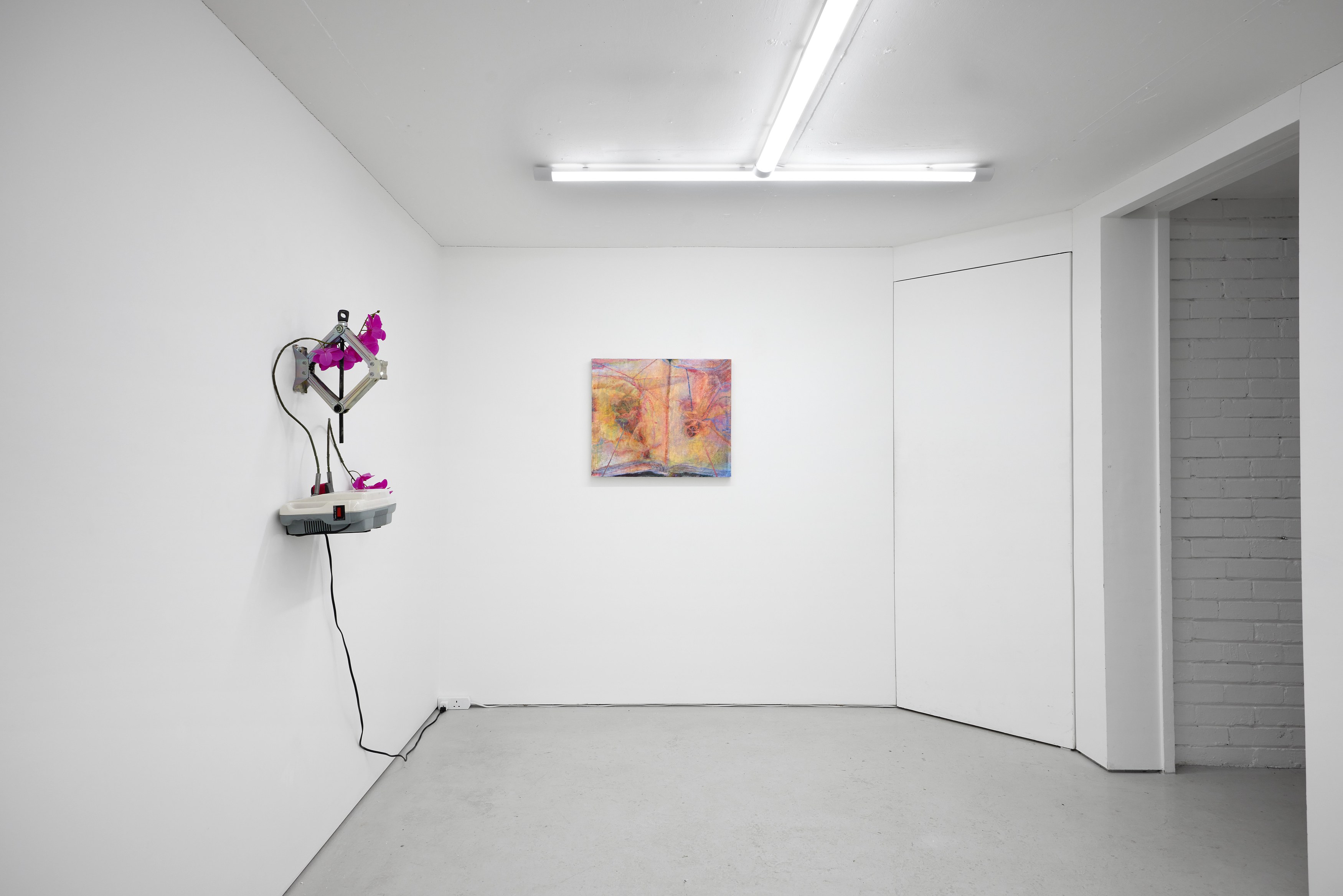Sophie Birch, Rachel Youn, Figures of Speech at Alice Amati, photo 9