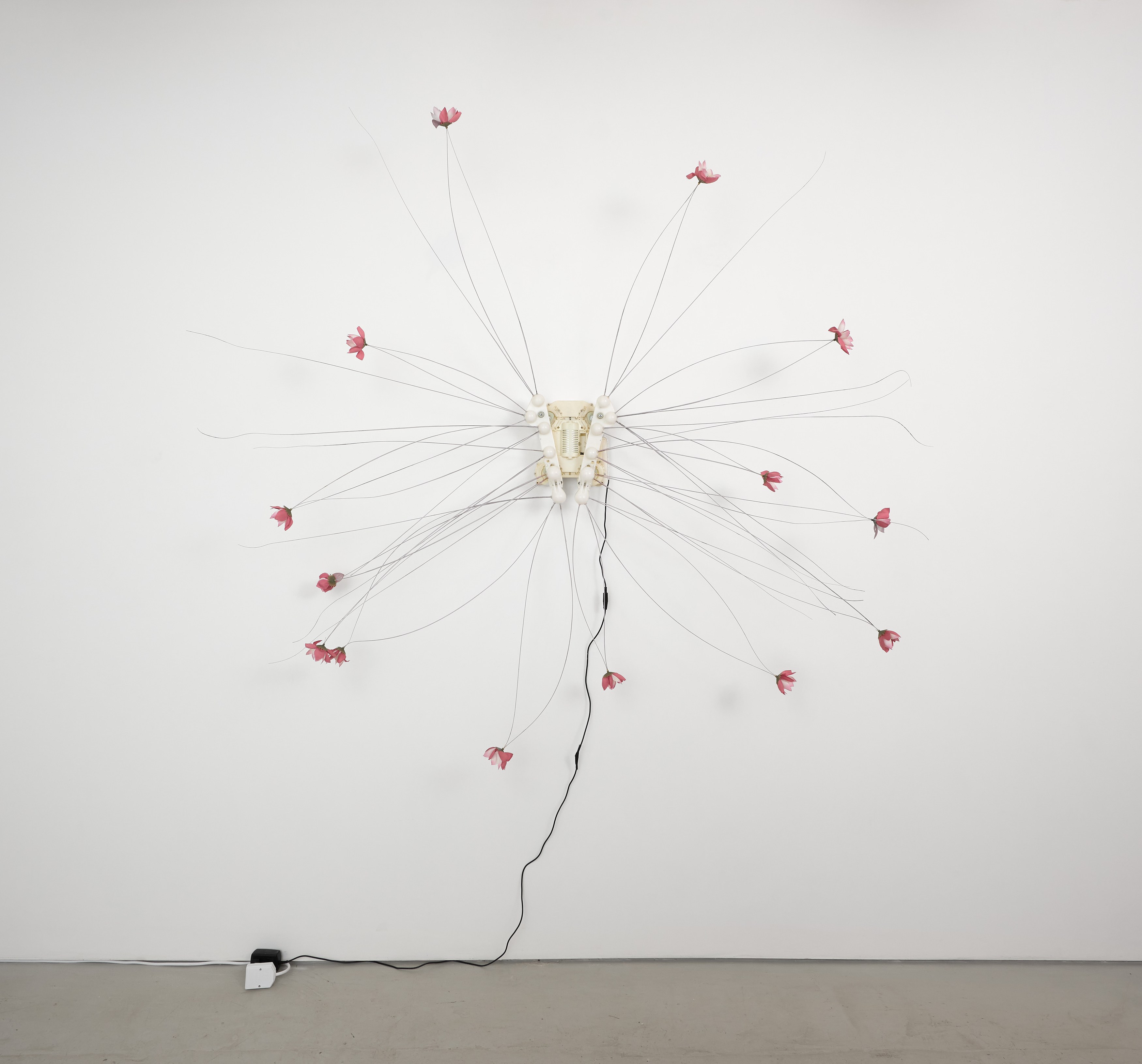 Sophie Birch, Rachel Youn, Figures of Speech at Alice Amati, photo 24