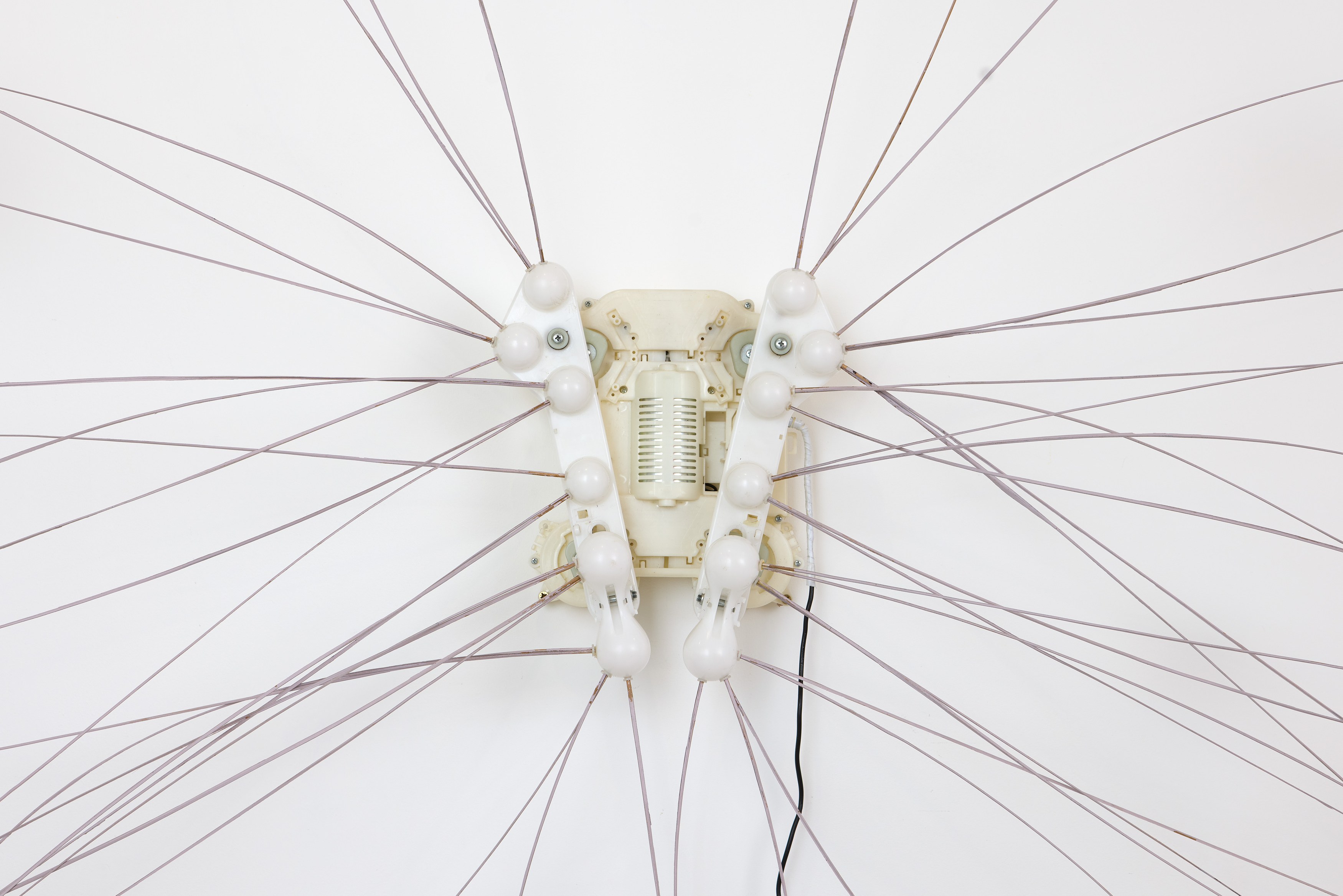 Sophie Birch, Rachel Youn, Figures of Speech at Alice Amati, photo 25
