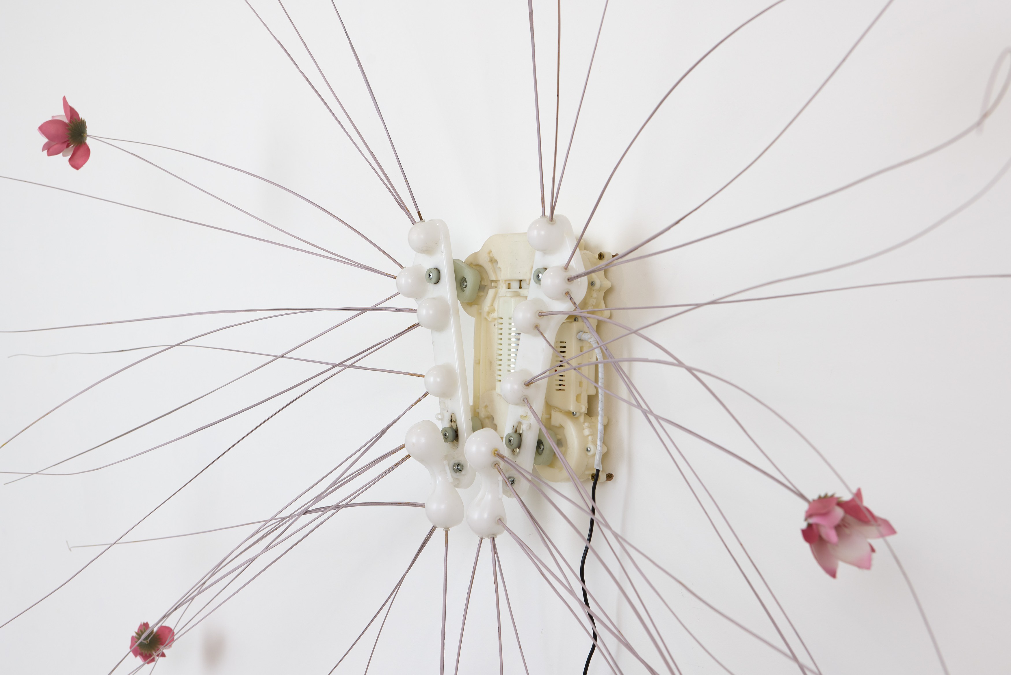 Sophie Birch, Rachel Youn, Figures of Speech at Alice Amati, photo 27