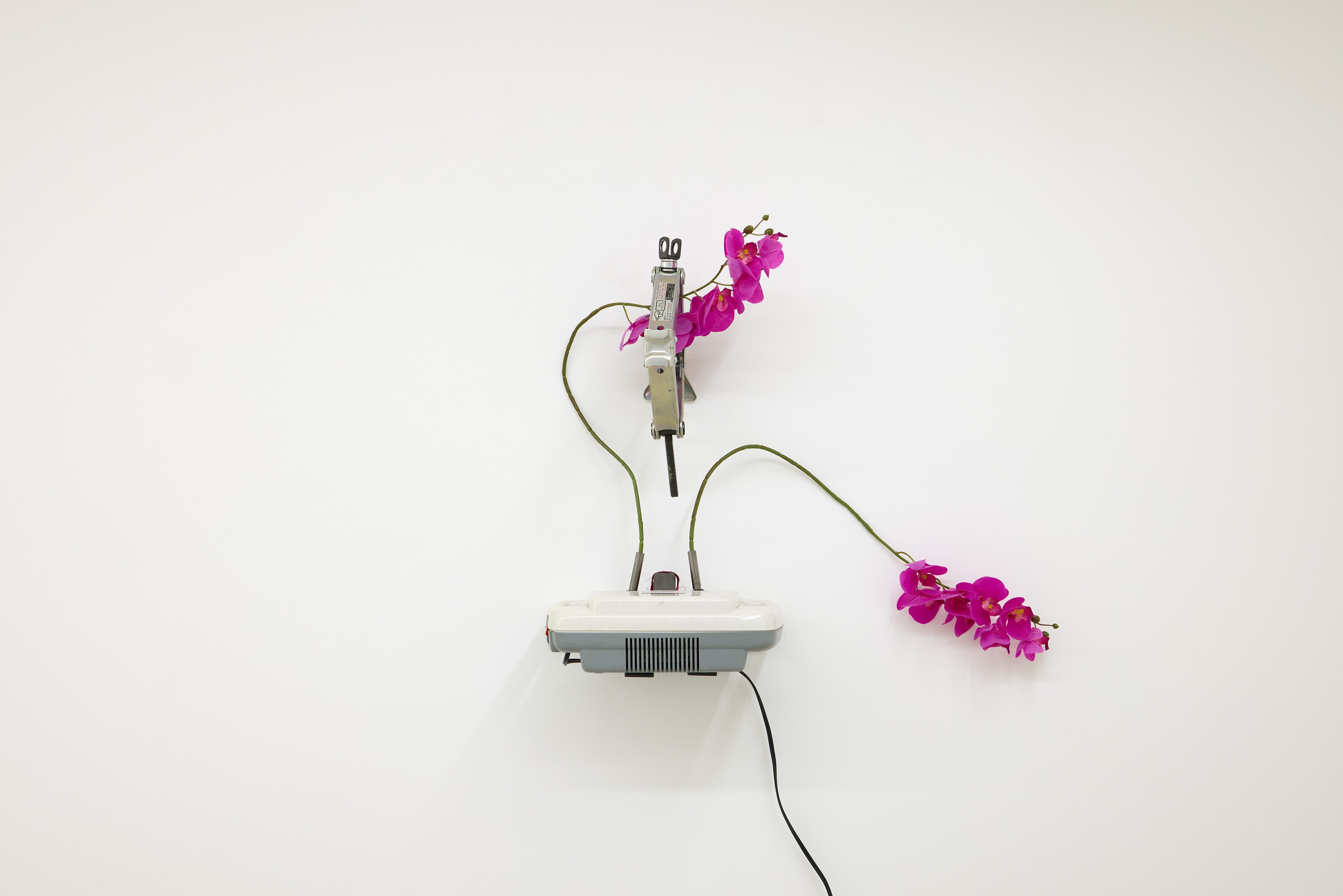 Sophie Birch, Rachel Youn, Figures of Speech at Alice Amati, photo 29