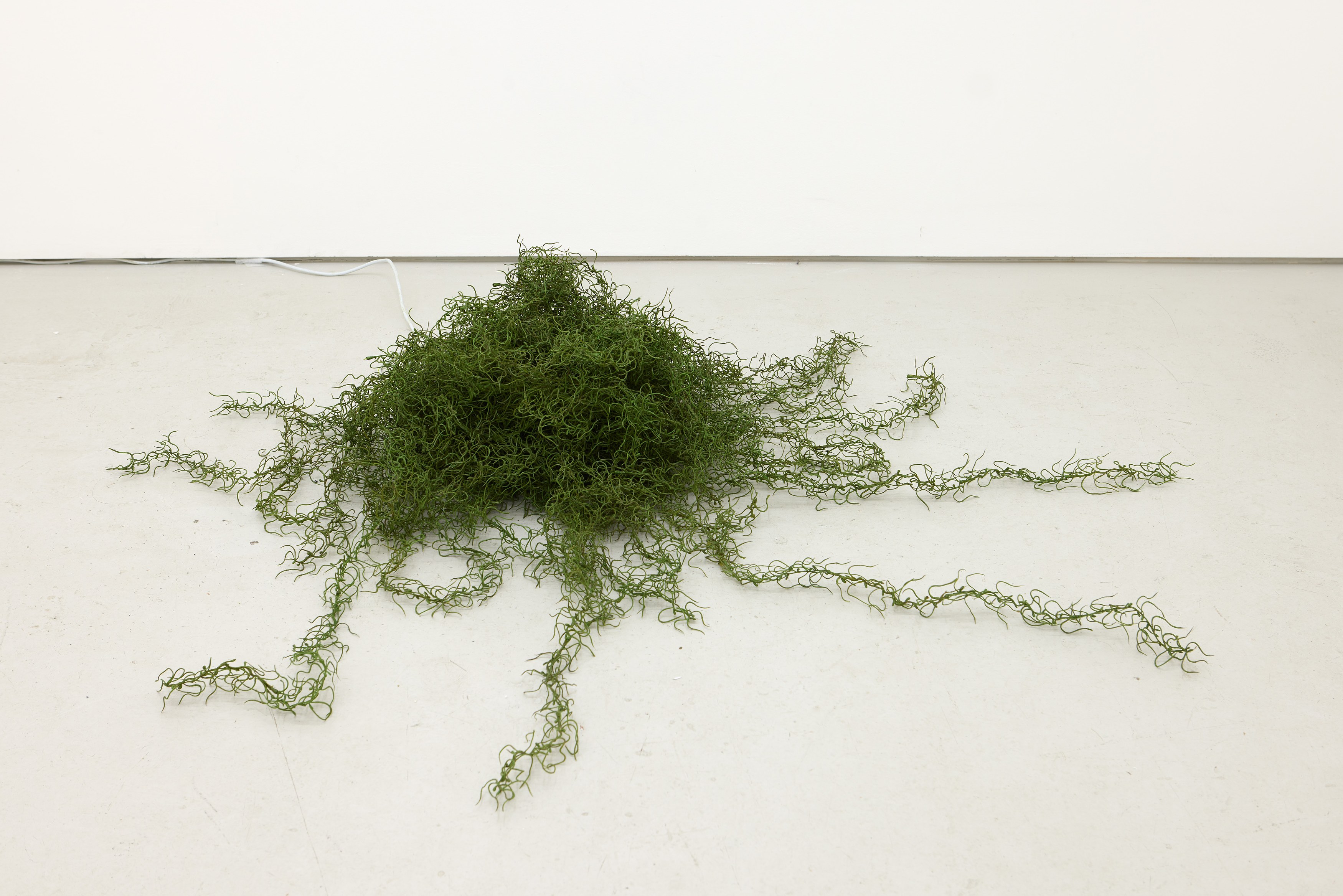 Sophie Birch, Rachel Youn, Figures of Speech at Alice Amati, photo 33