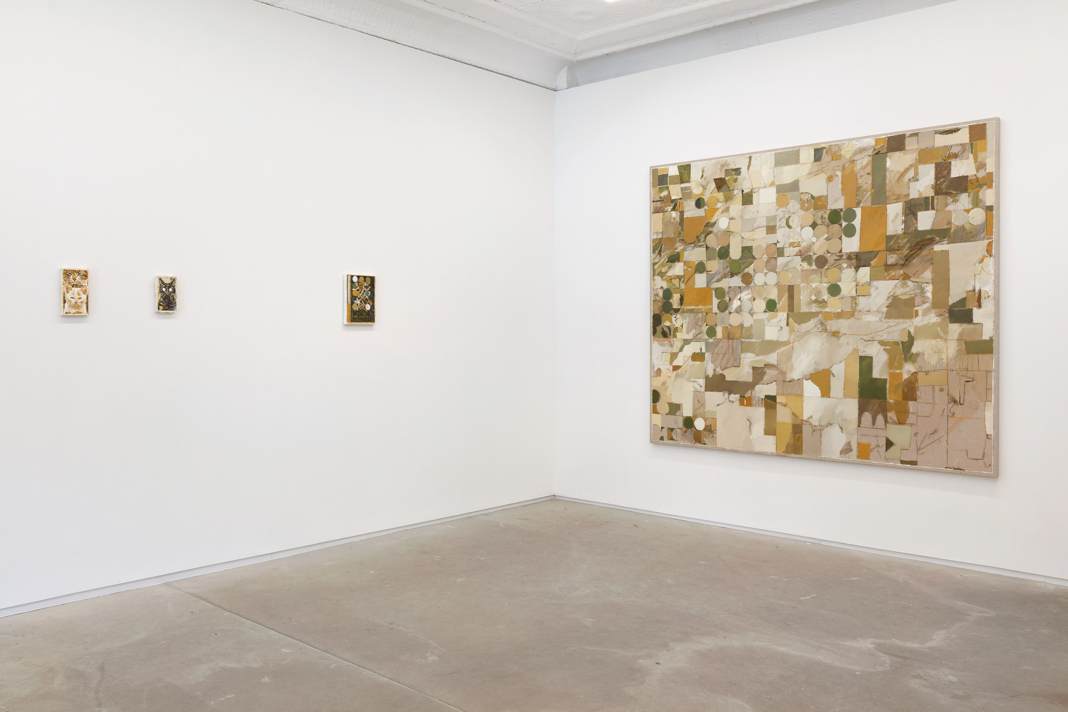 Pierre Bellot, Zephyr at 56 Henry, photo 10