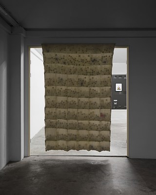 Image 1 of 45