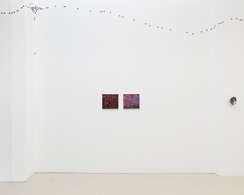 Image 1 of 37