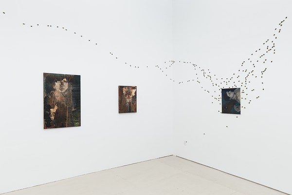 Image 4 of 37