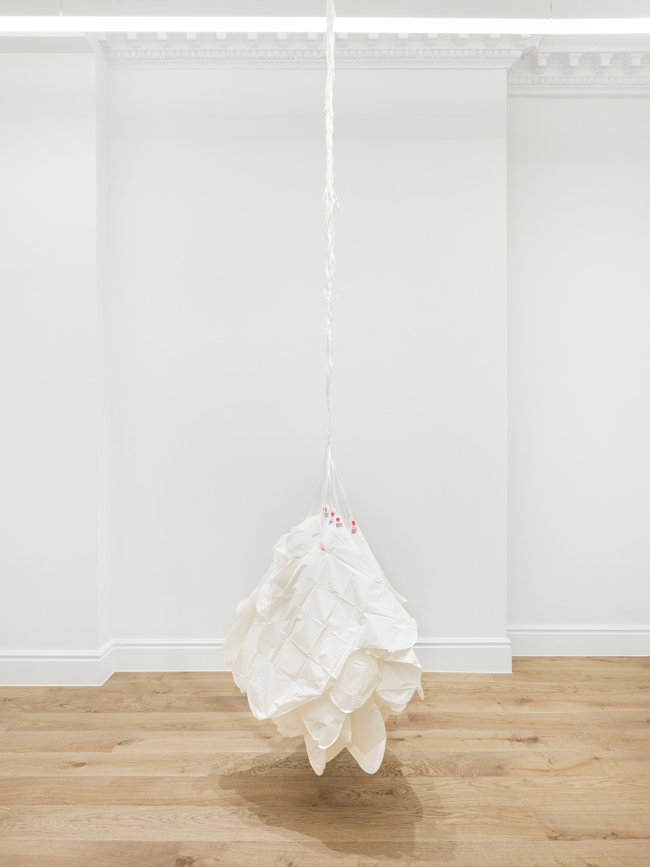 Mitchell Anderson, Sonnet at Maria Bernheim, photo 7