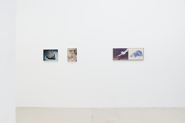 Image 6 of 37