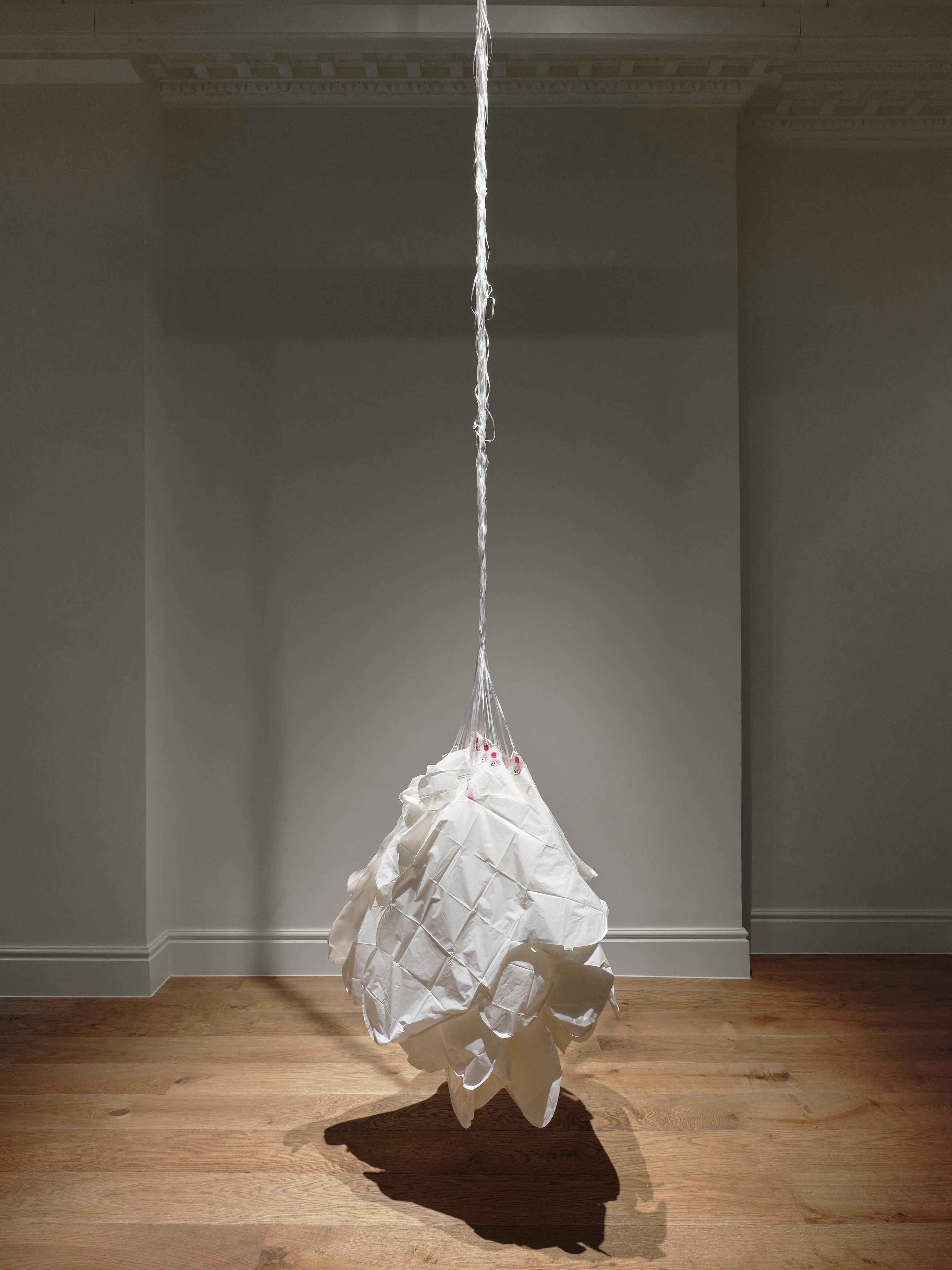 Mitchell Anderson, Sonnet at Maria Bernheim, photo 8