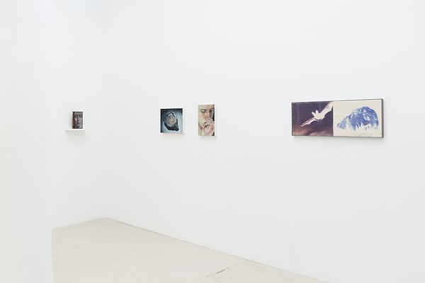 Image 7 of 37