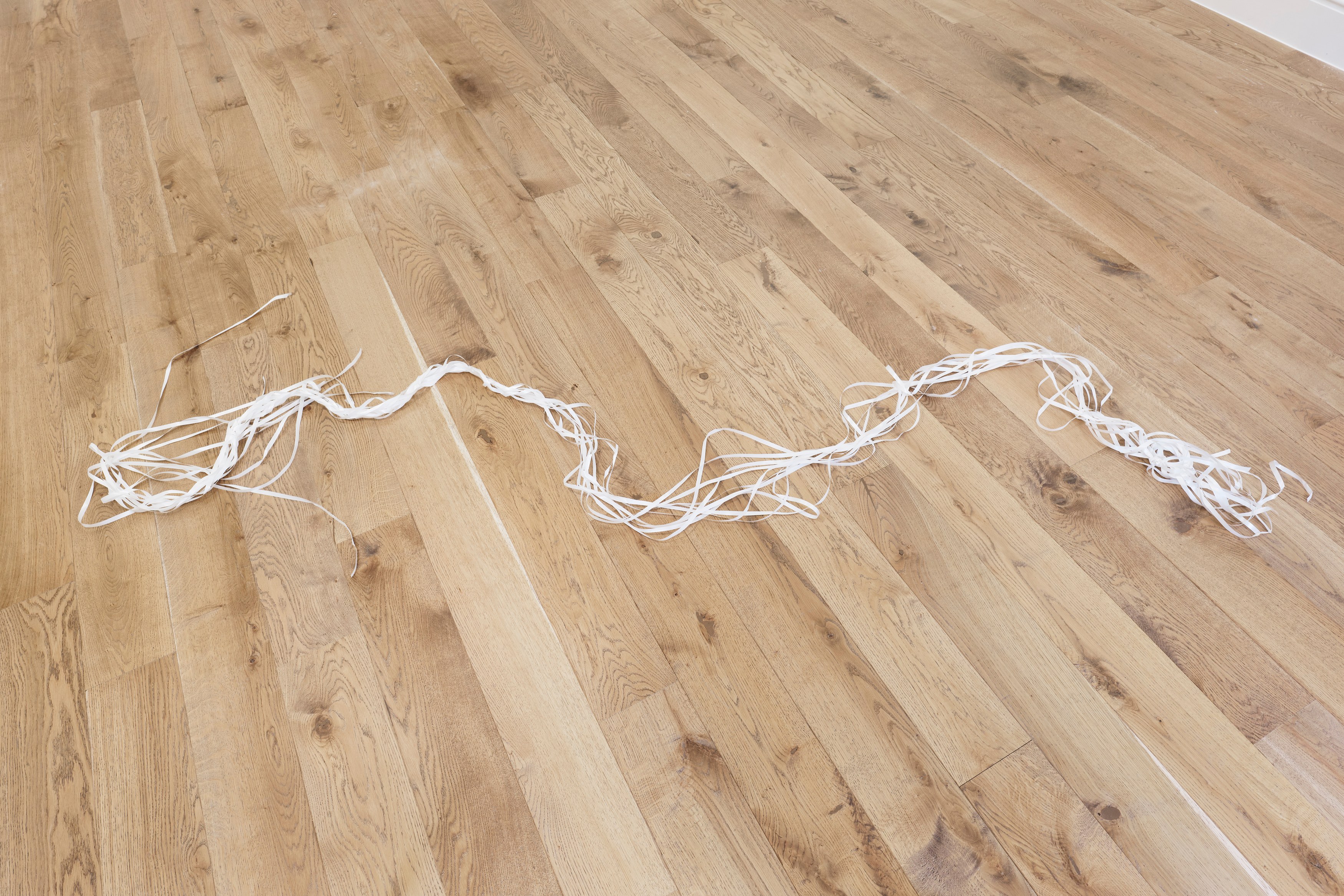 Mitchell Anderson, Sonnet at Maria Bernheim, photo 16