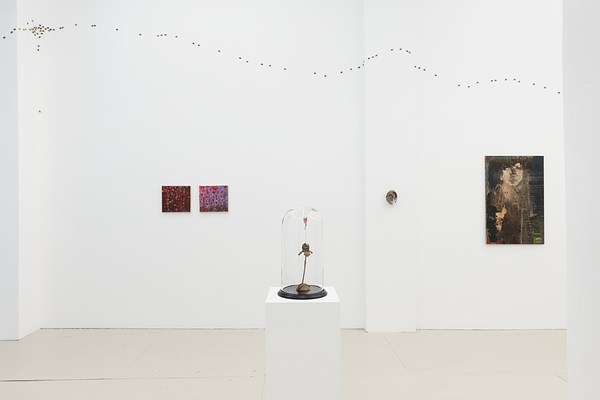 Image 8 of 37