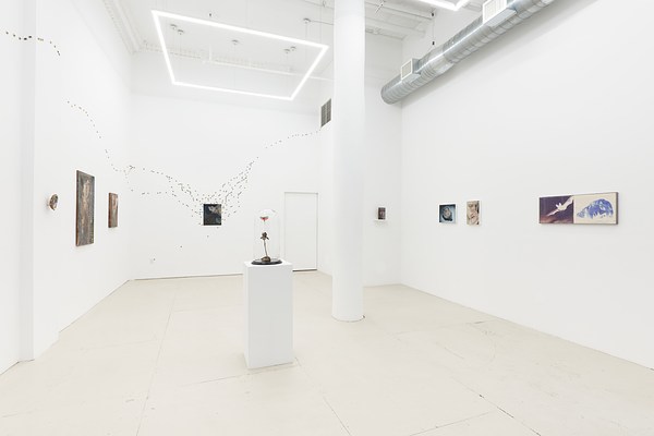 Image 10 of 37