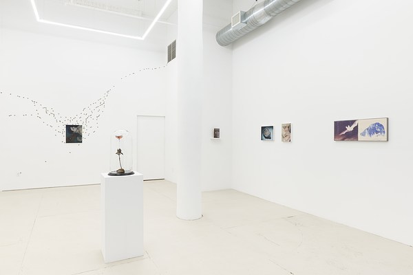 Image 11 of 37