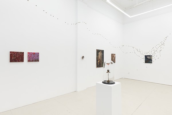 Image 12 of 37