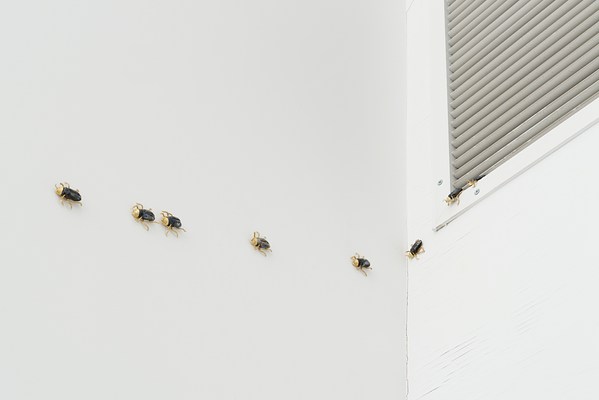 Image 27 of 37