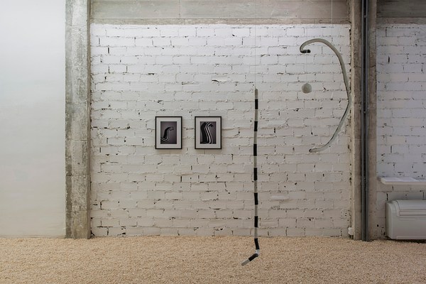 Image 7 of 27