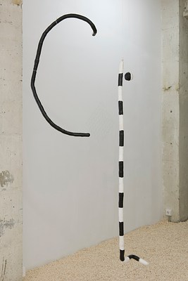 Image 10 of 27