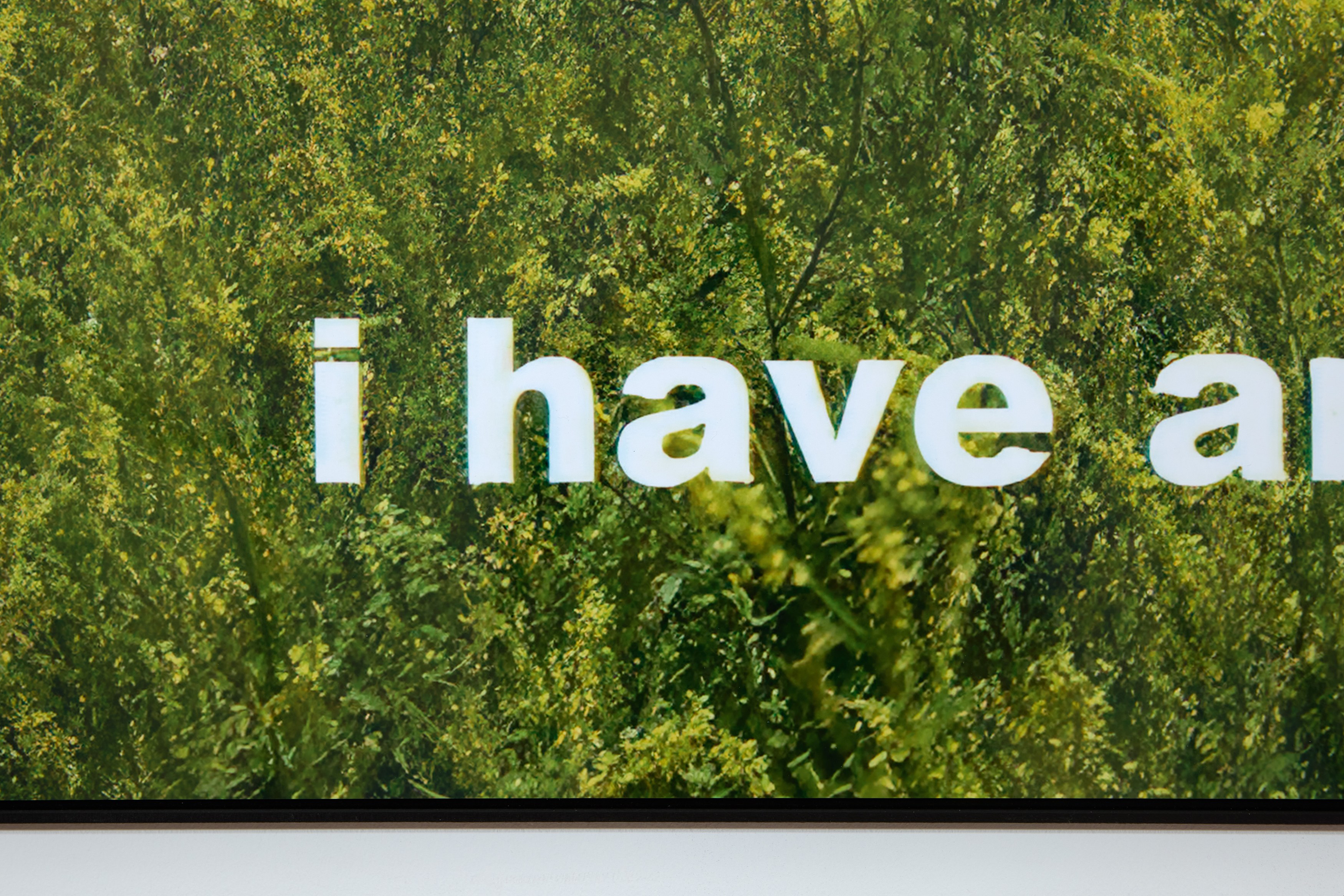Penny Goring, Cold Hunt Corsage at Arcadia Missa, photo 48