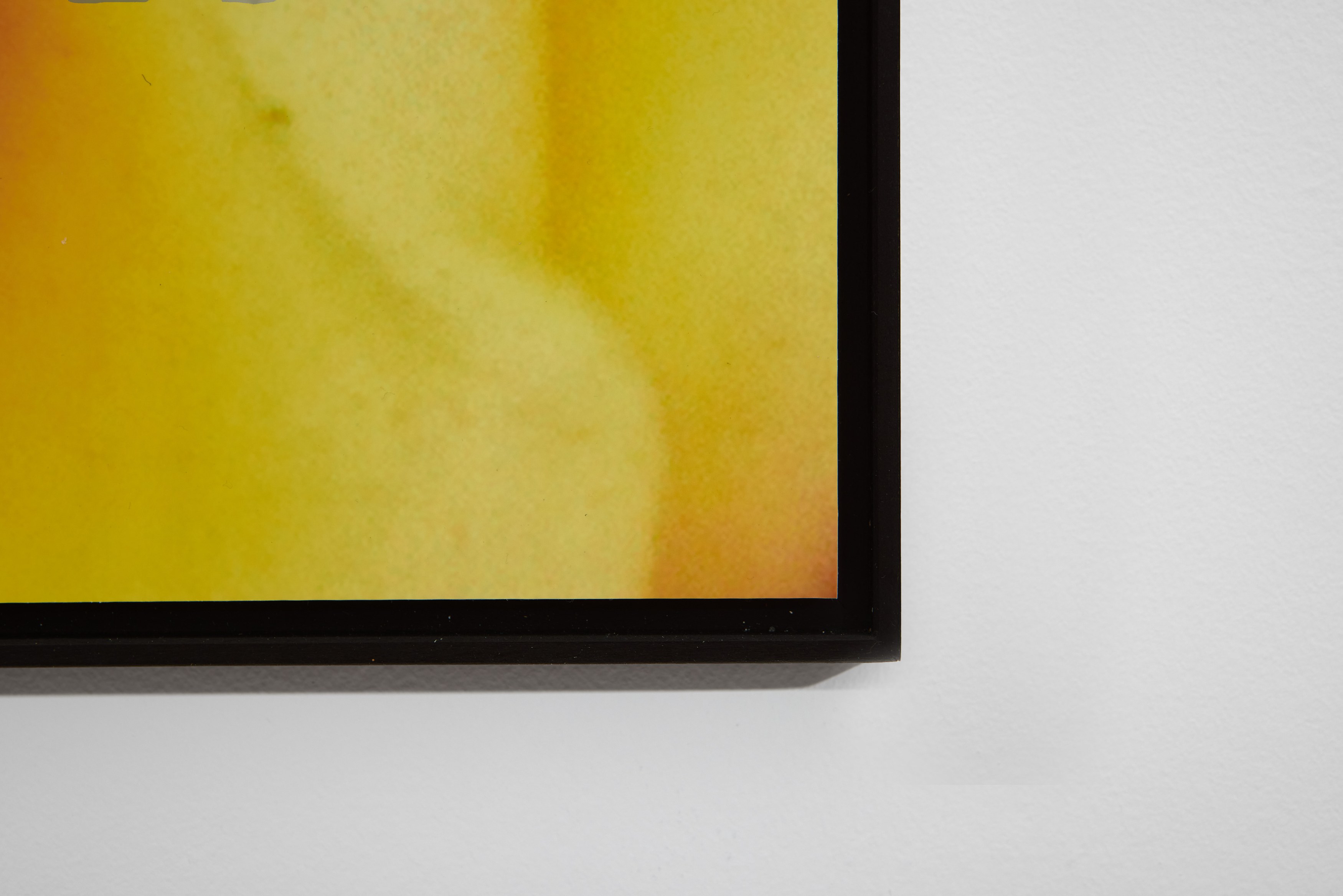 Penny Goring, Cold Hunt Corsage at Arcadia Missa, photo 54