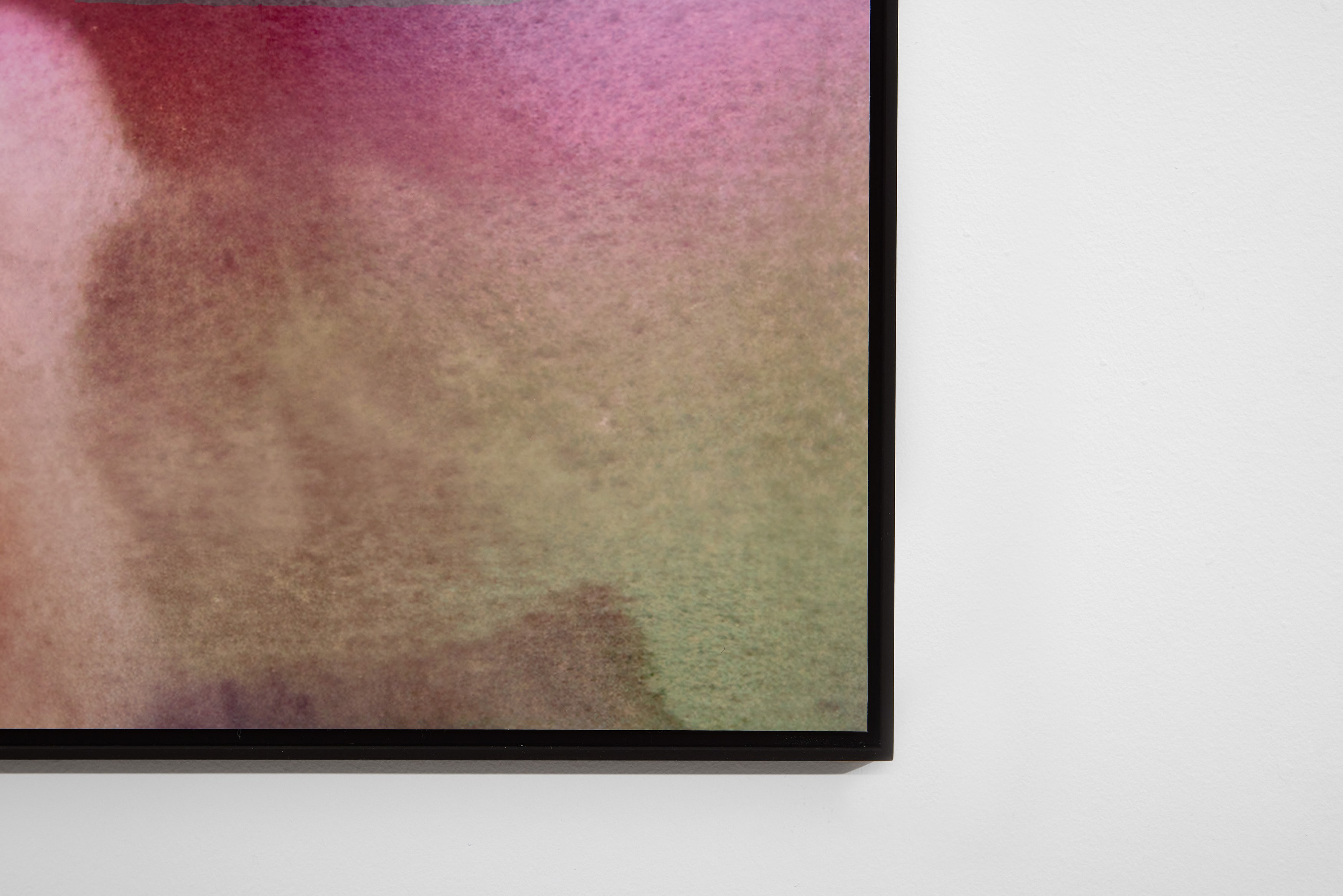 Penny Goring, Cold Hunt Corsage at Arcadia Missa, photo 59