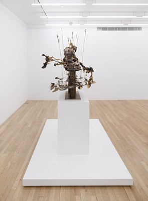 Image 7 of 12