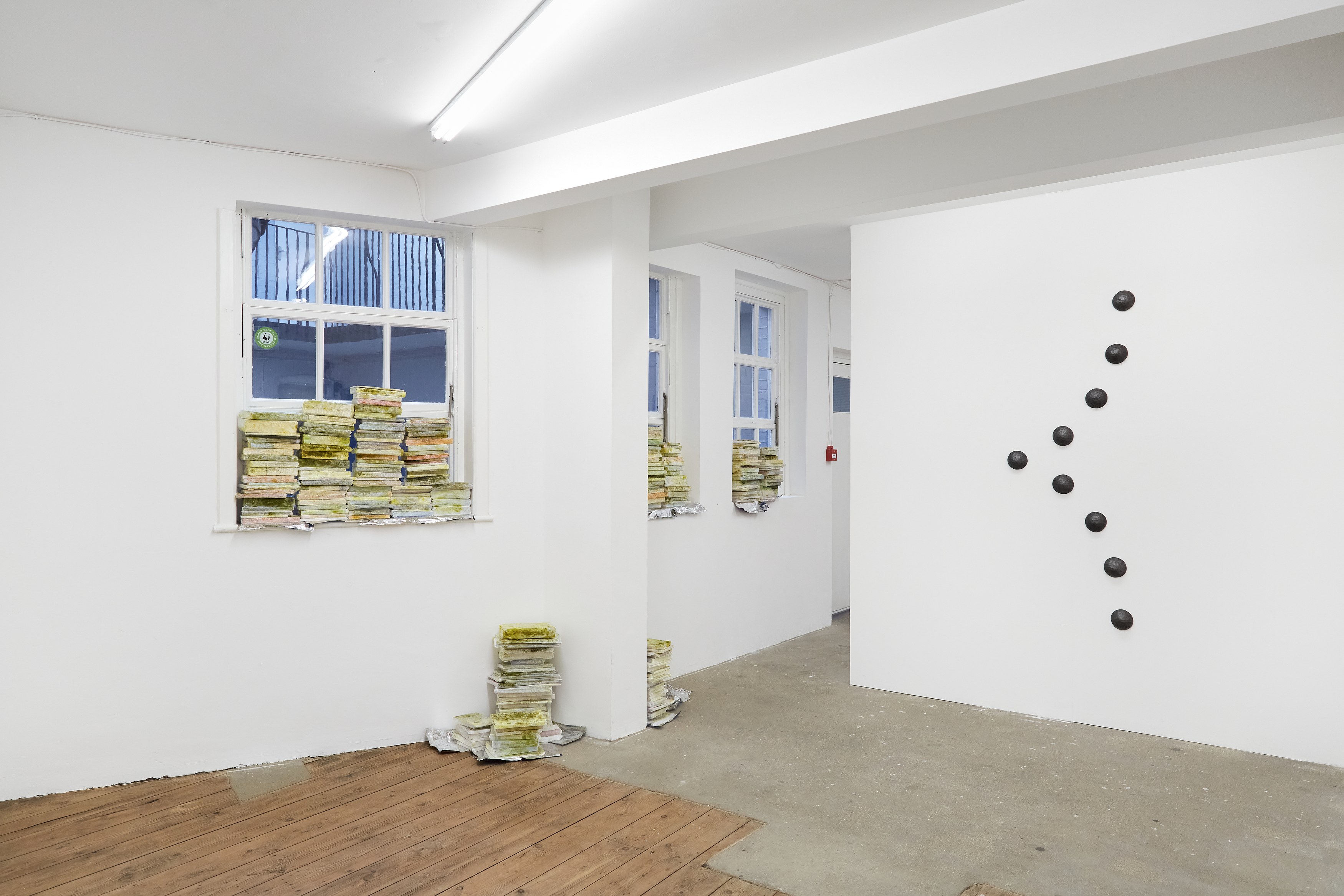 Tom Hardwick-Allan, Low Relief and Foil at South Parade, photo 4