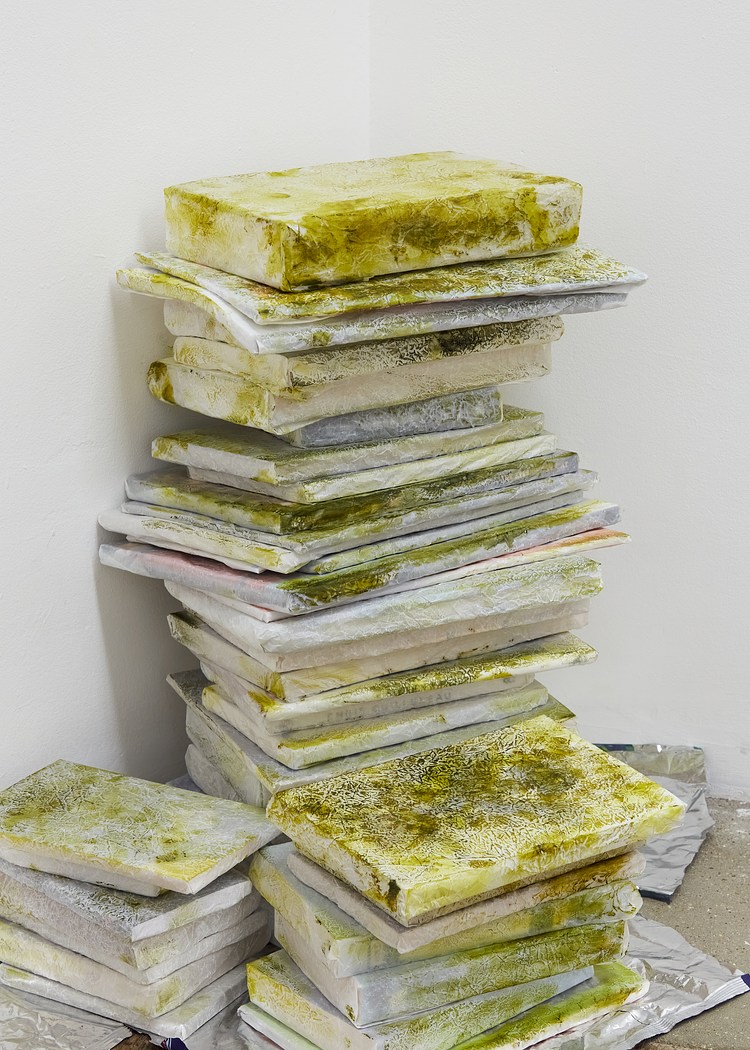 Tom Hardwick-Allan at South Parade, London | Contemporary Art Library