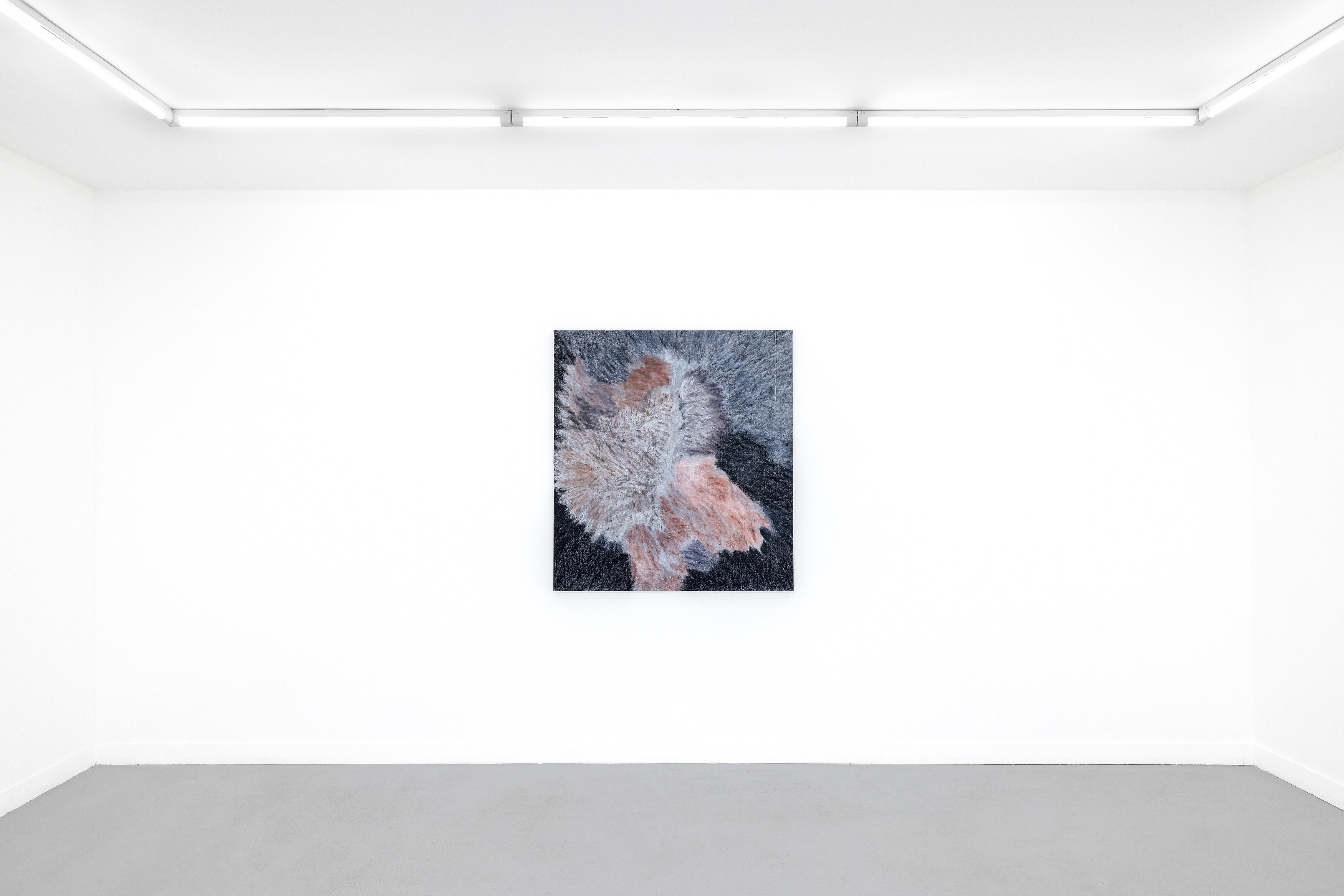 Allison Blumenthal, A Widening Angle at Parliament, photo 11