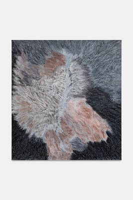 Image 12 of 16