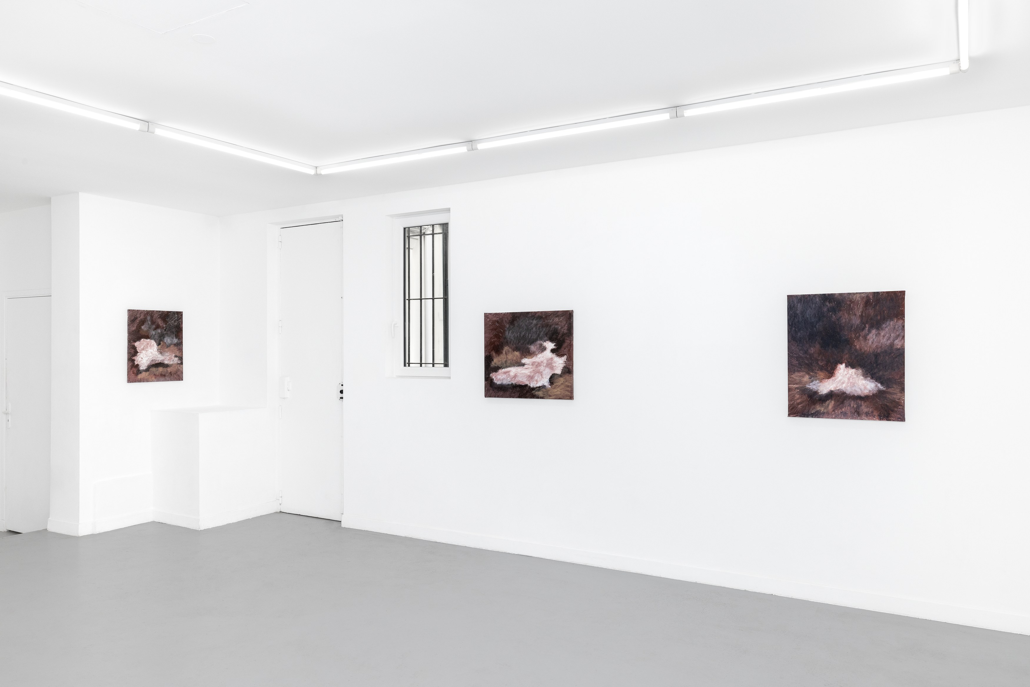 Allison Blumenthal, A Widening Angle at Parliament, photo 8