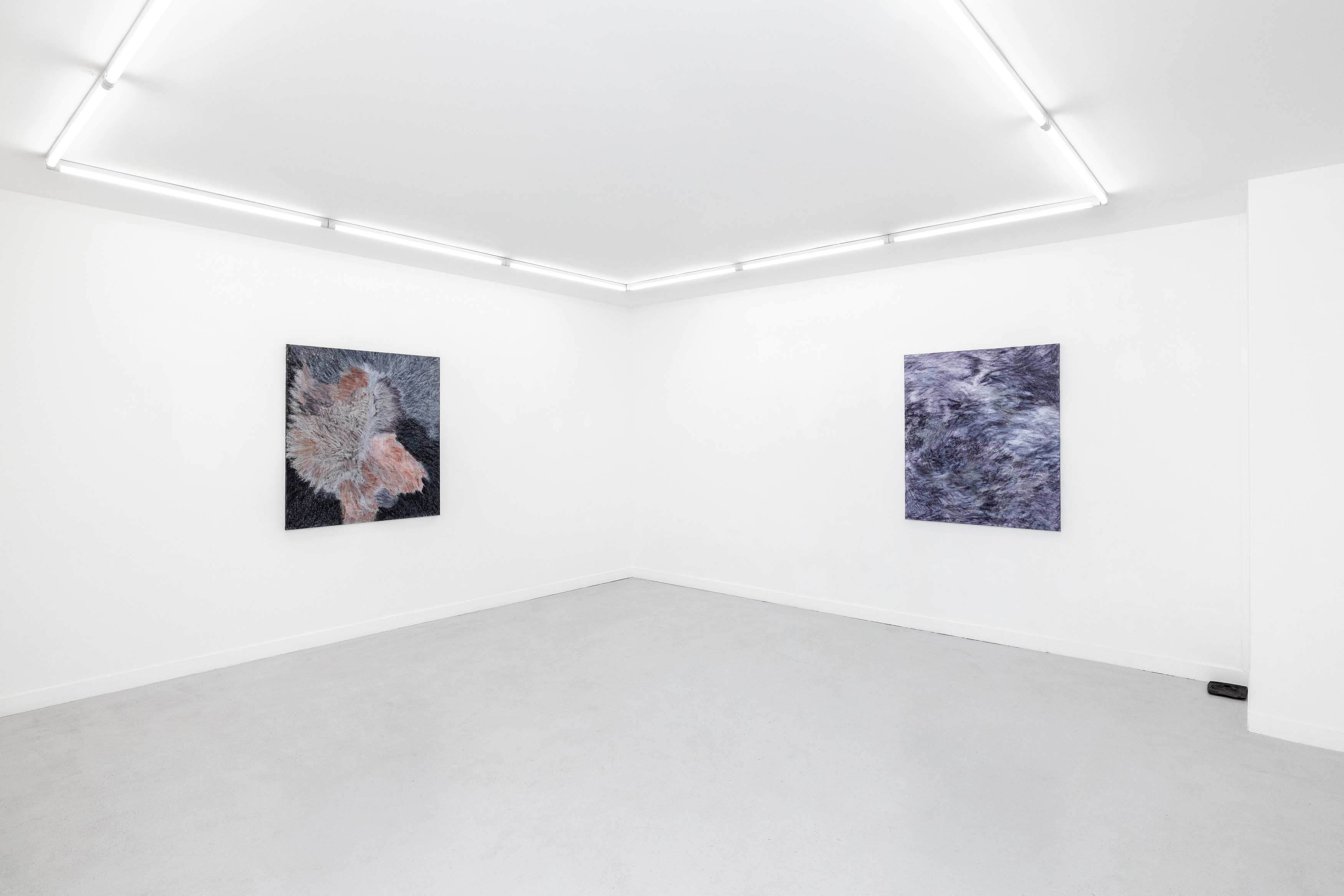 Allison Blumenthal, A Widening Angle at Parliament, photo 13