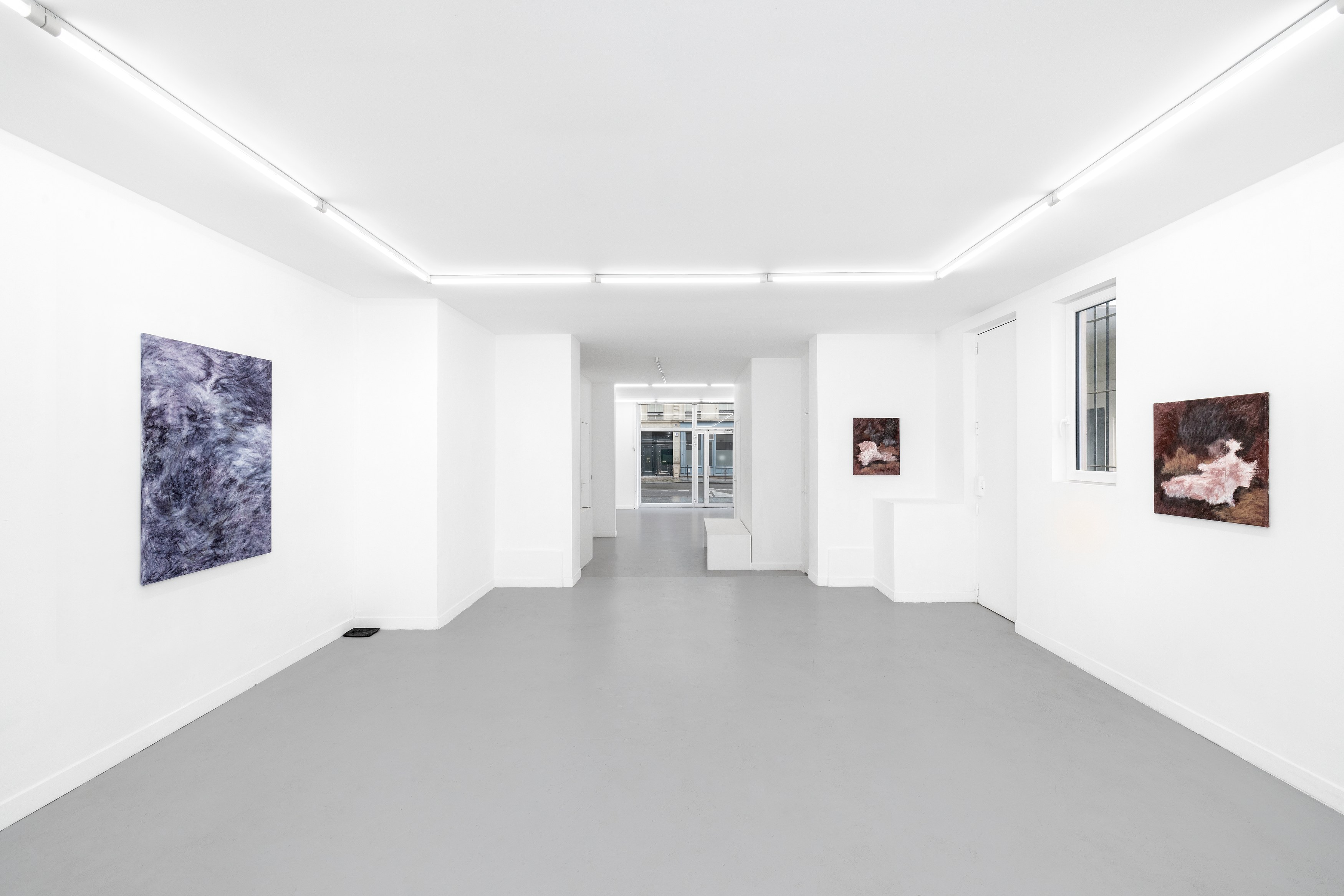 Allison Blumenthal, A Widening Angle at Parliament, photo 16