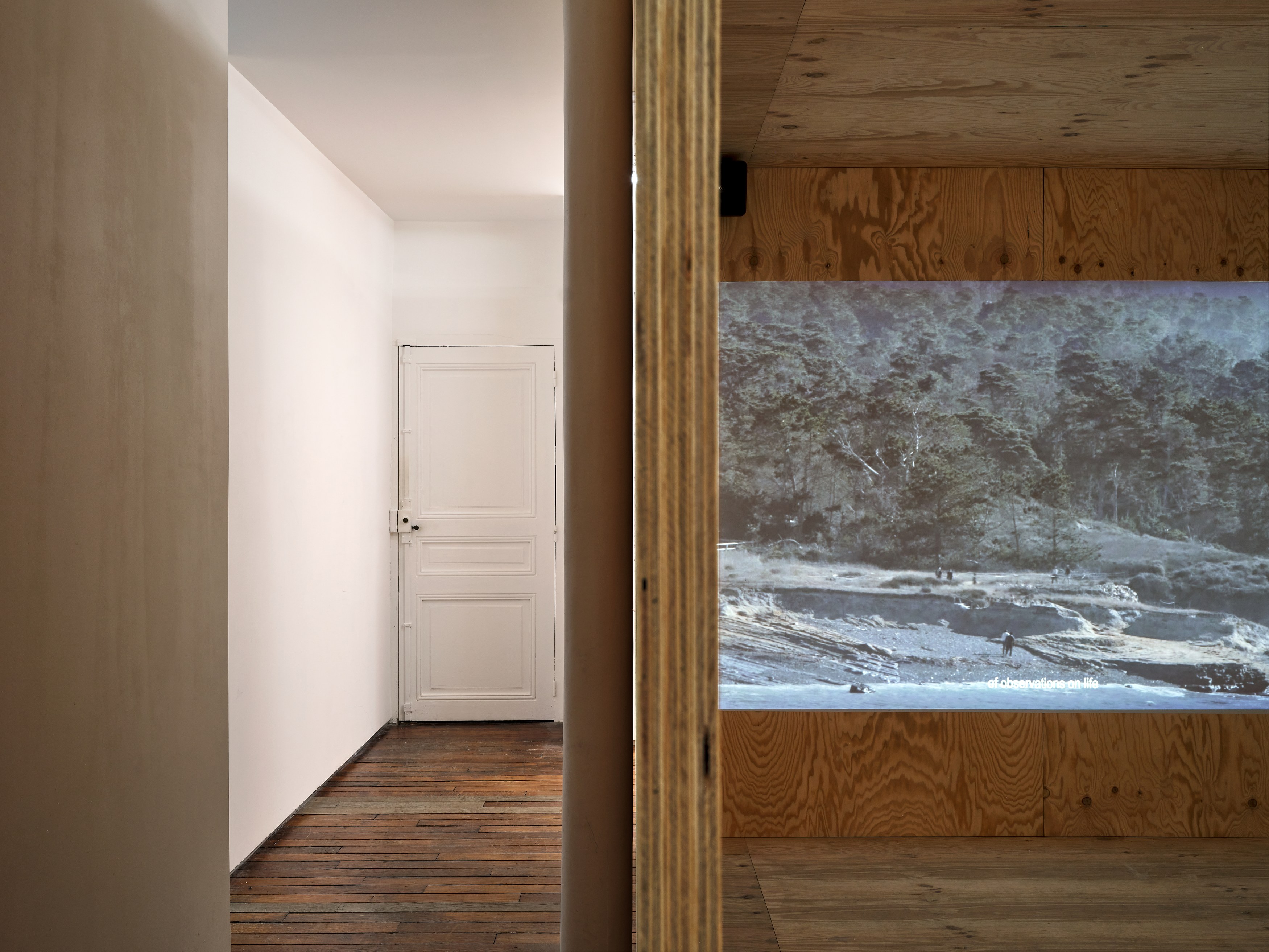 Boz Deseo Garden, Graham Wiebe, Maresfield Gardens at Petrine, photo 8