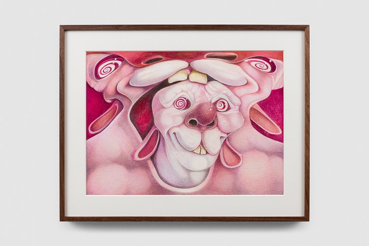 Jenkin van Zyl | Contemporary Art Library