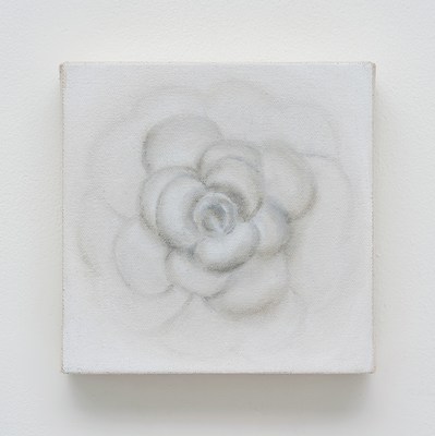 Image 24 of 29