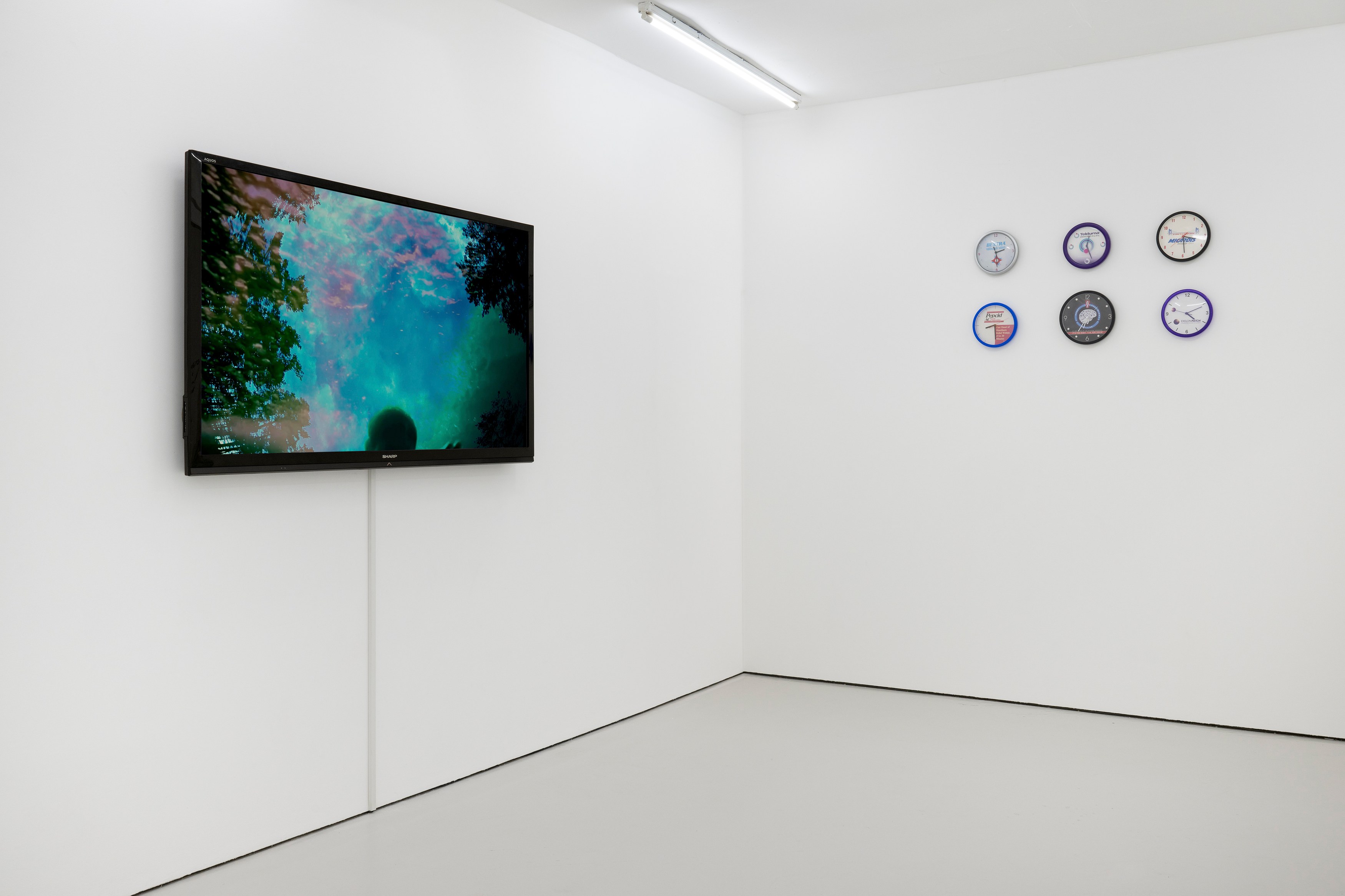 Richard Sides, Psychology at Carlos/Ishikawa, photo 7