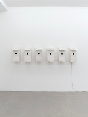 Image 6 of 14