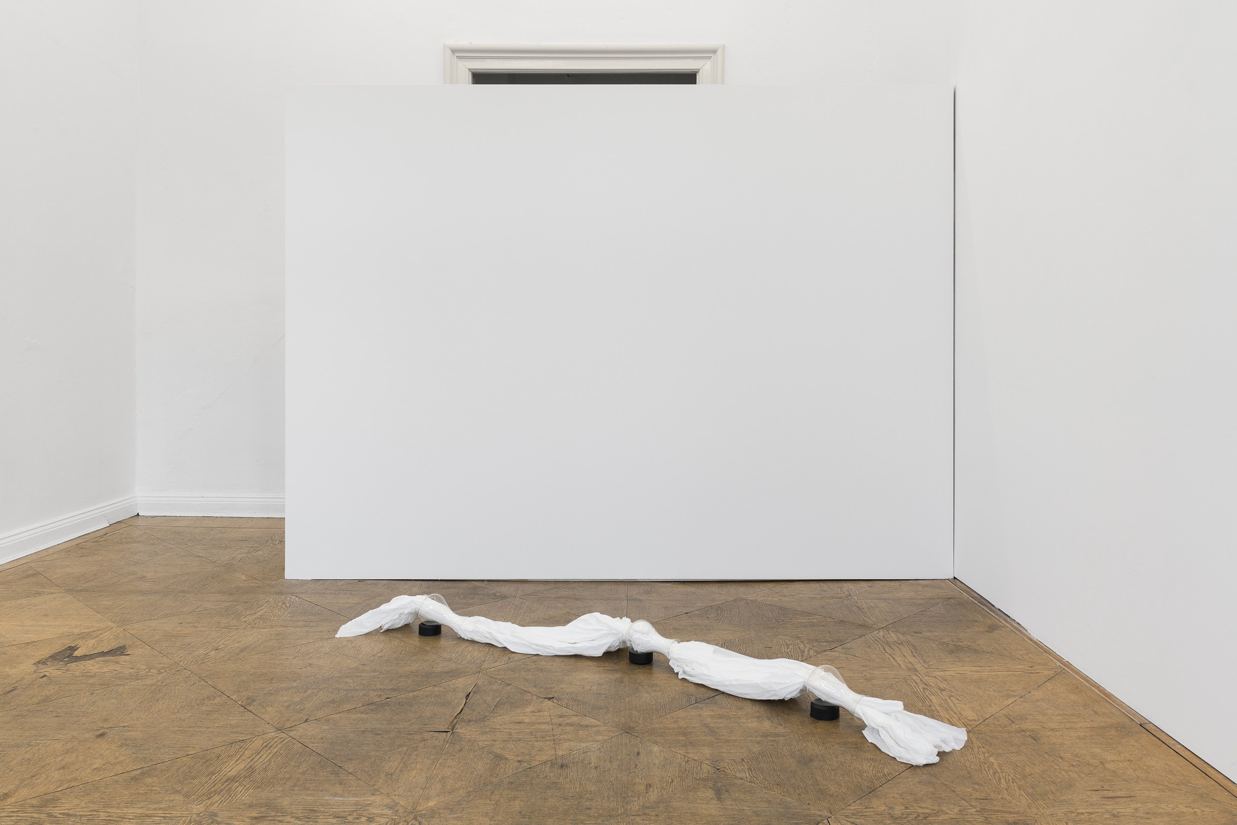 Echo’s Hunger, Echo’s Hunger at Schiefe Zähne, photo 4