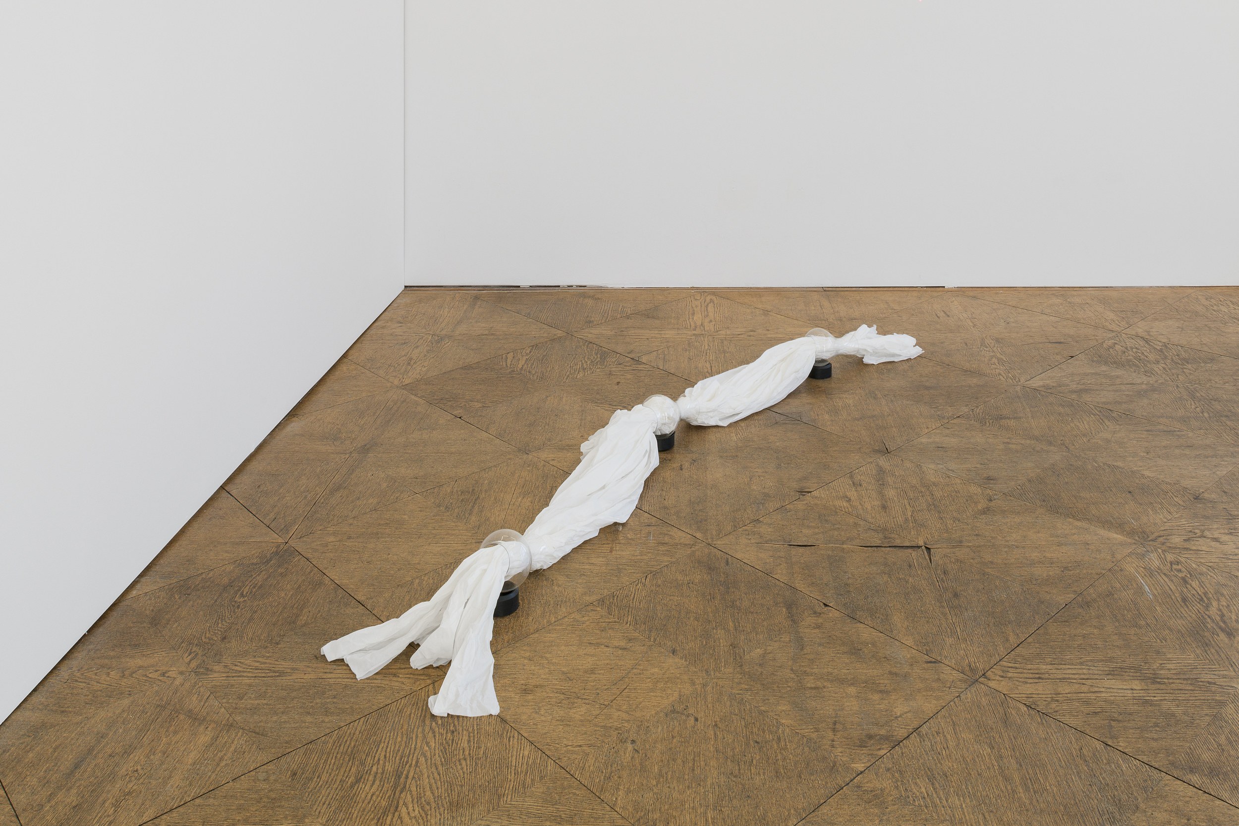 Echo’s Hunger, Echo’s Hunger at Schiefe Zähne, photo 3