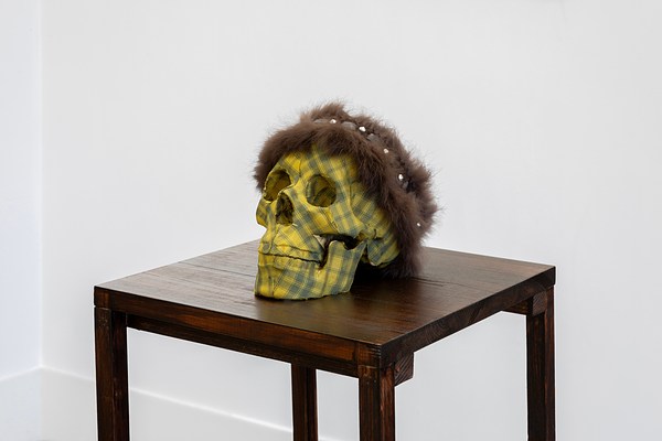 Image 3 of 23