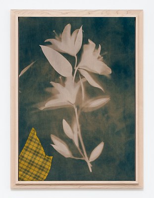 Image 7 of 23