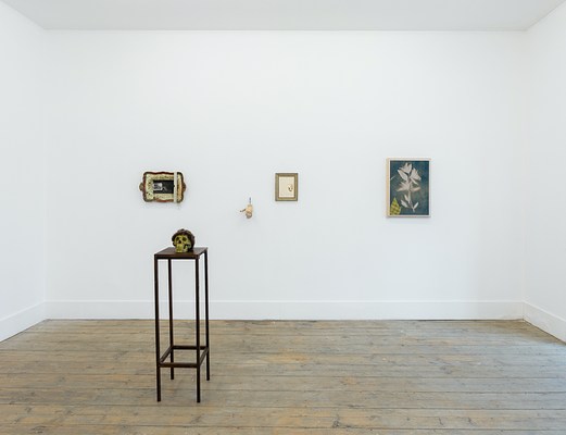 Image 8 of 23