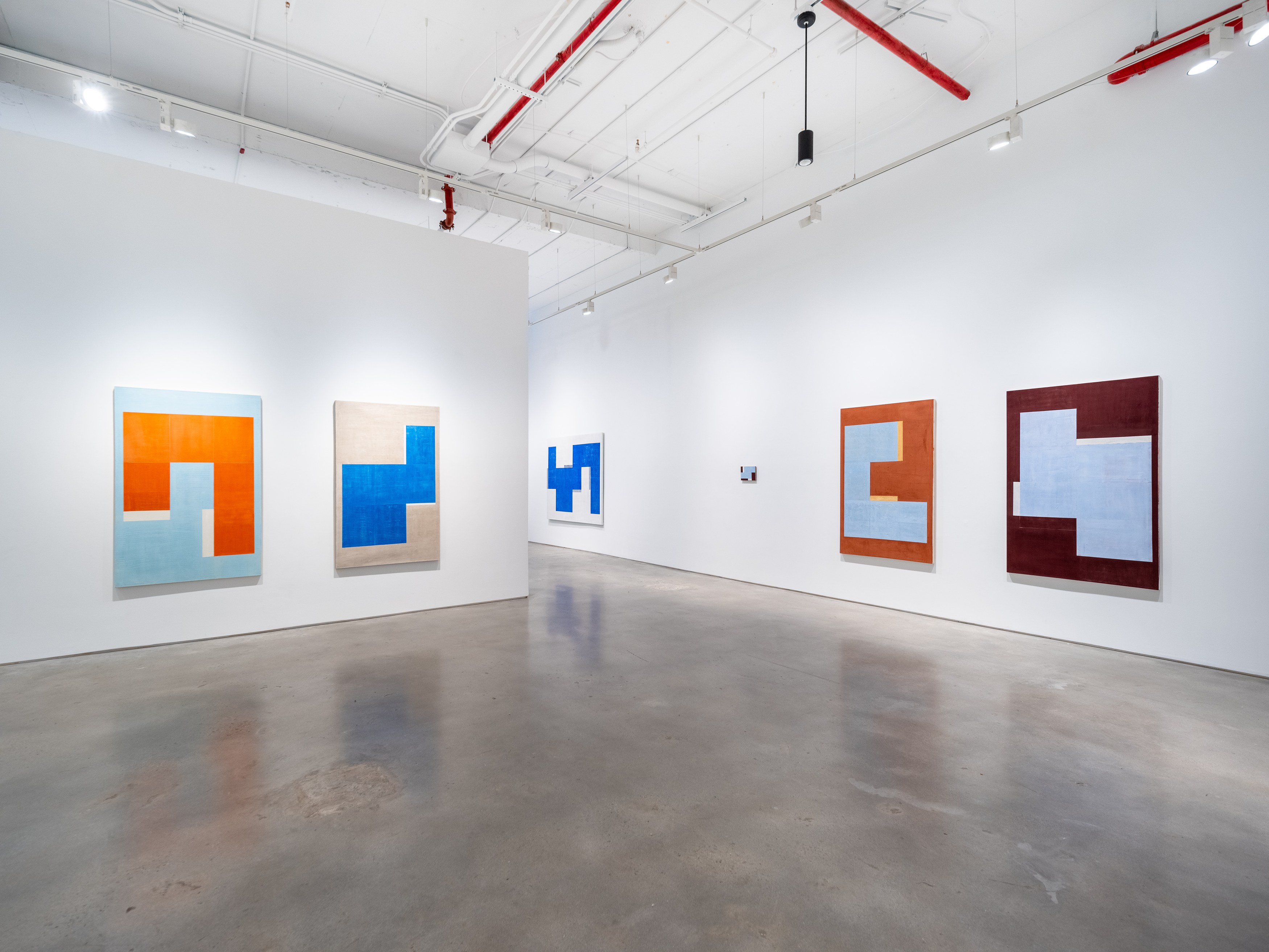 Fábio Miguez, Ichnographies at Nara Roesler, photo 4