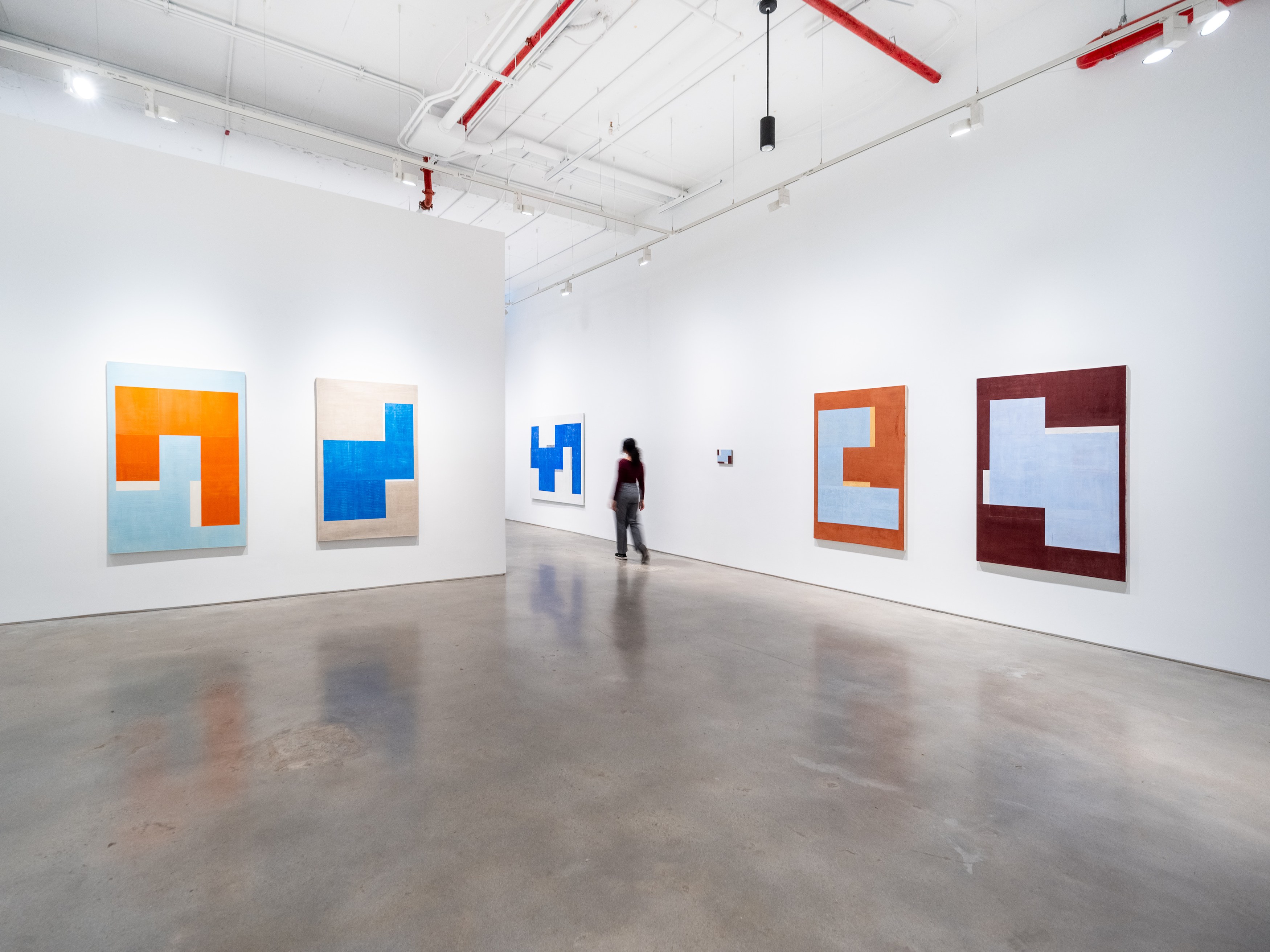 Fábio Miguez, Ichnographies at Nara Roesler, photo 7