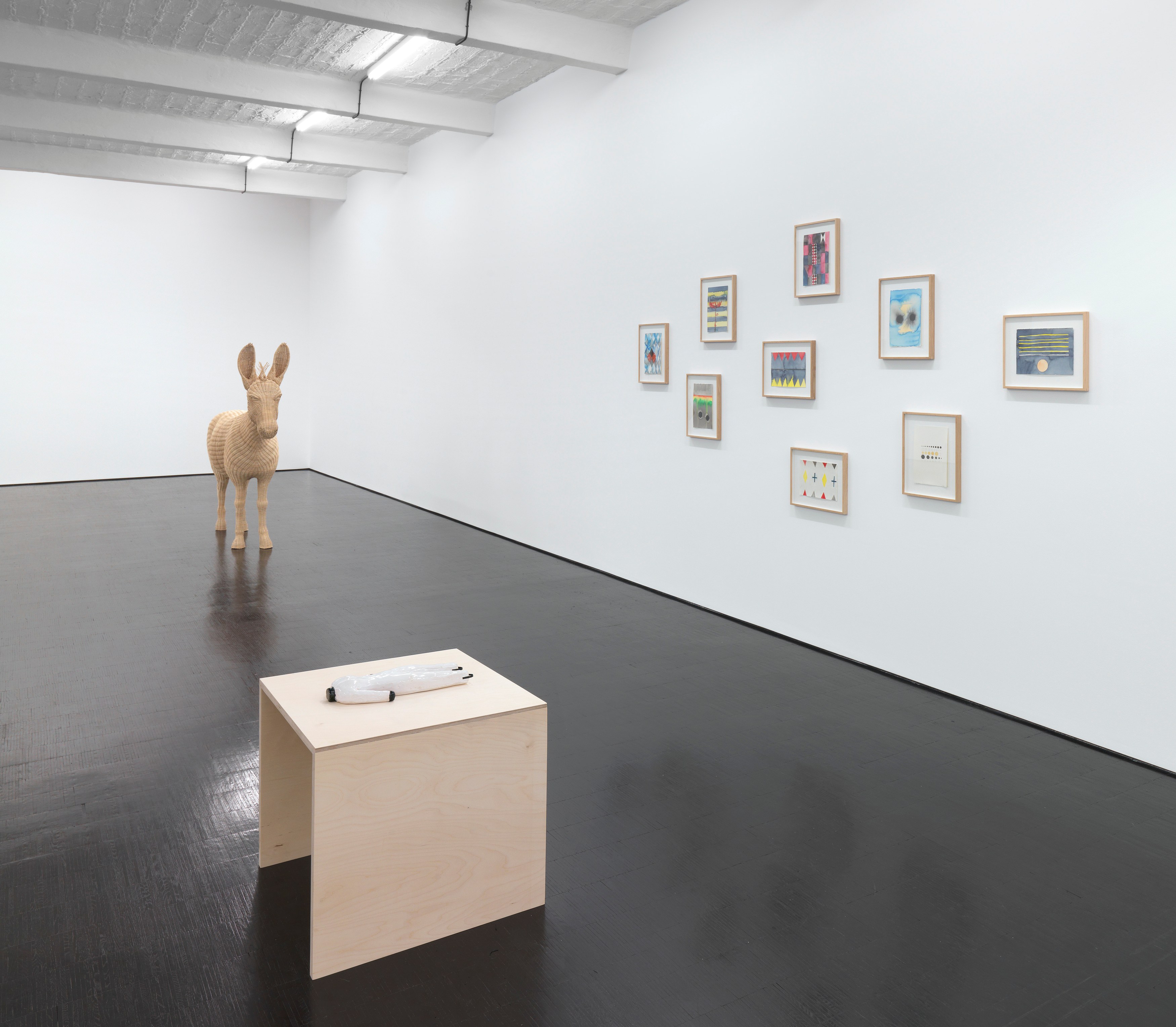 Mai-Thu Perret, Beast of Burden at Trautwein Herleth, photo 2